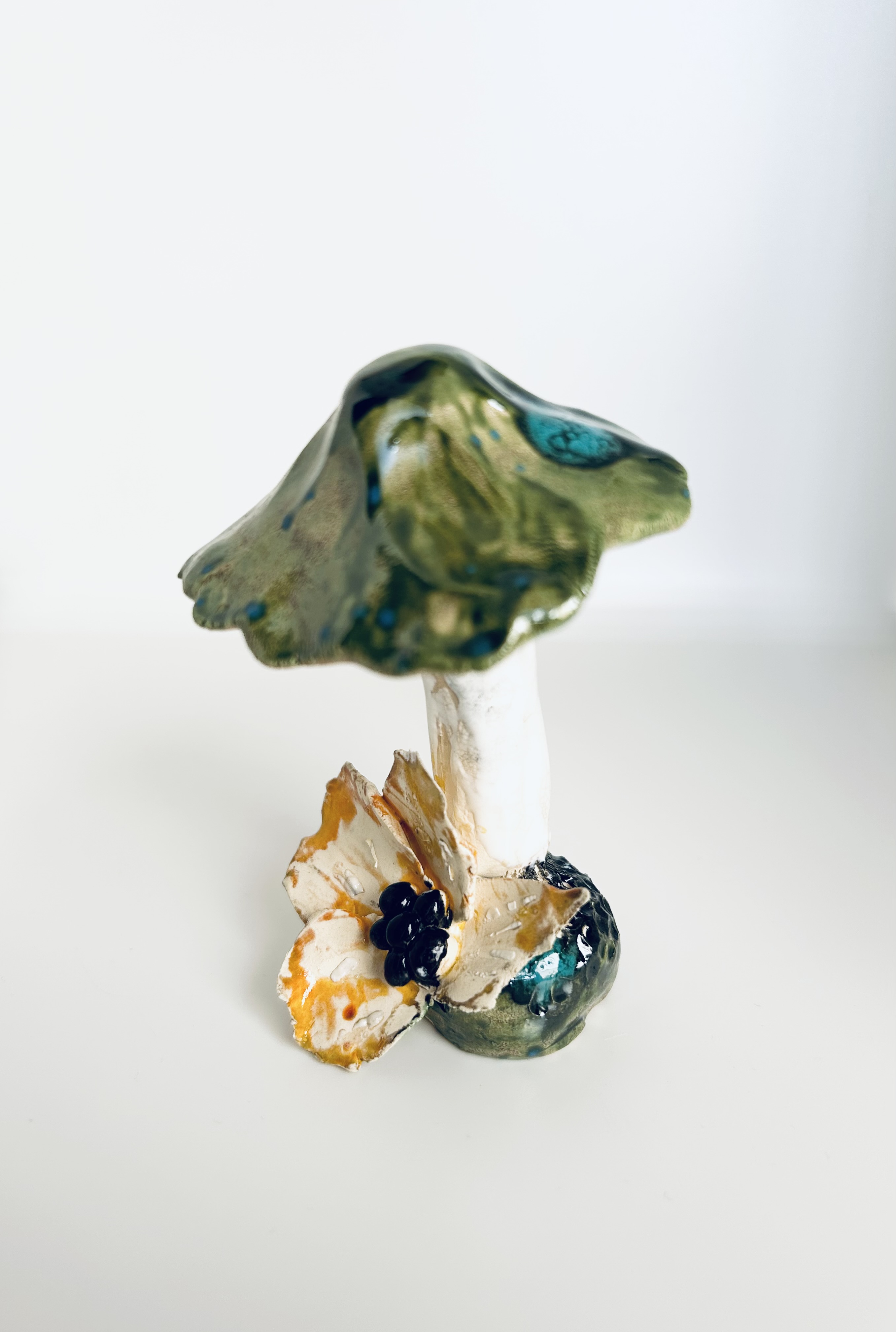 CHAMPIGNON " reflet du lac "