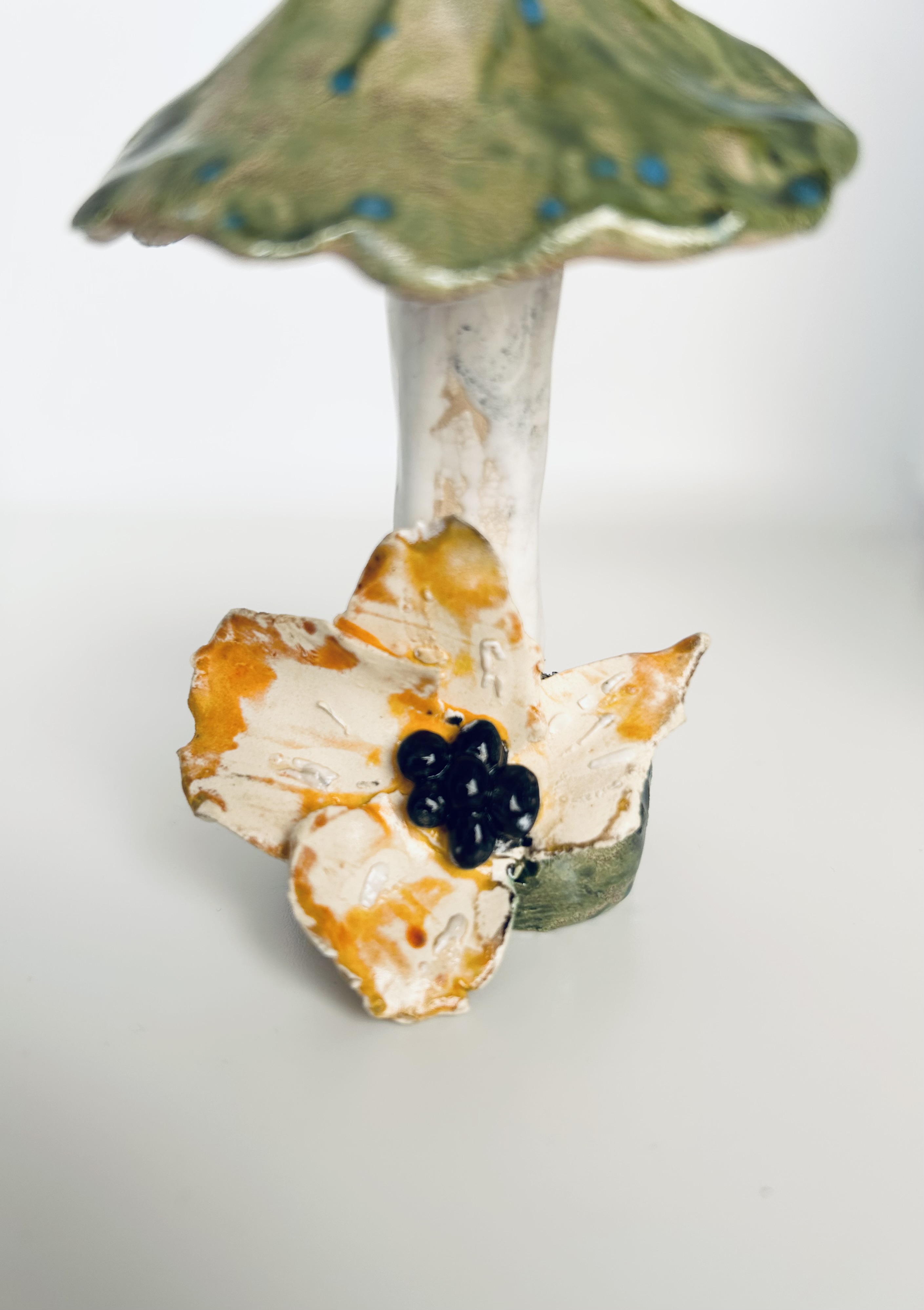 CHAMPIGNON " reflet du lac "