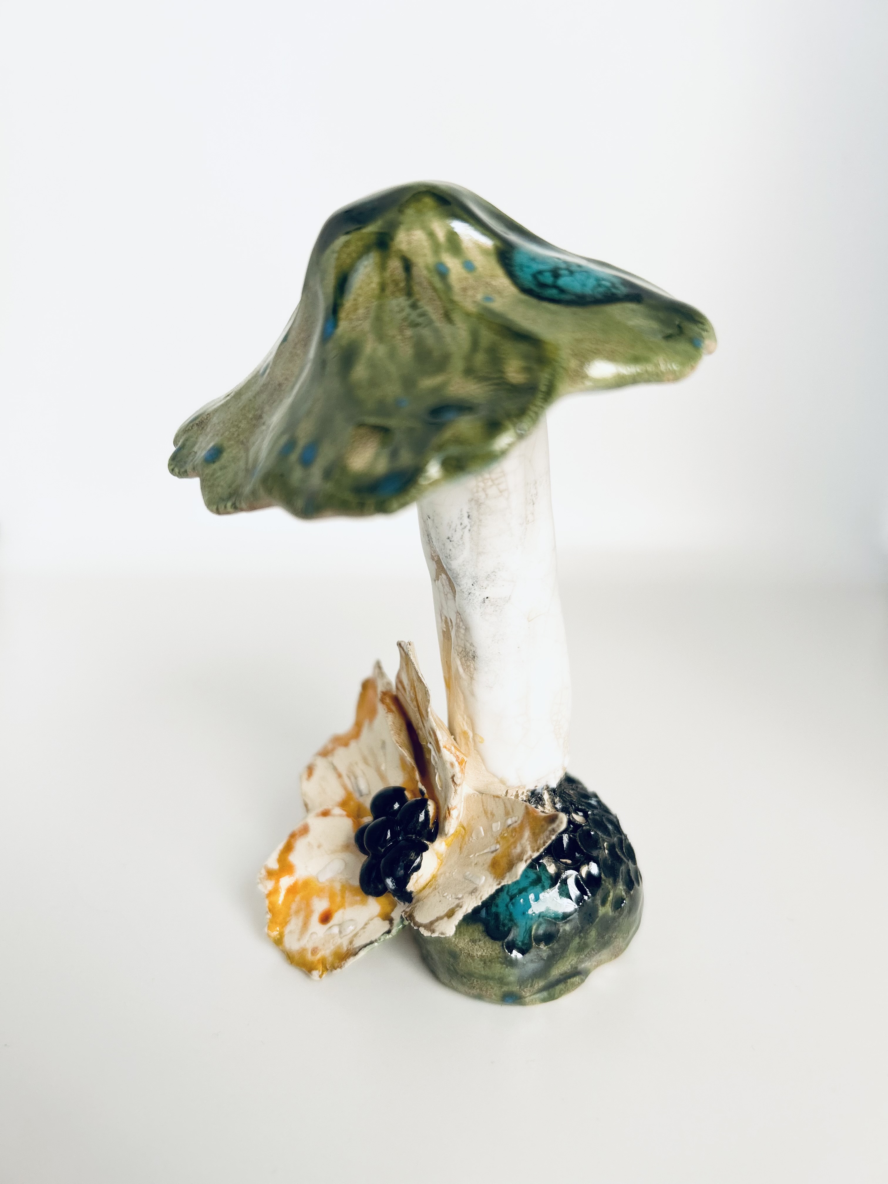 CHAMPIGNON " reflet du lac "