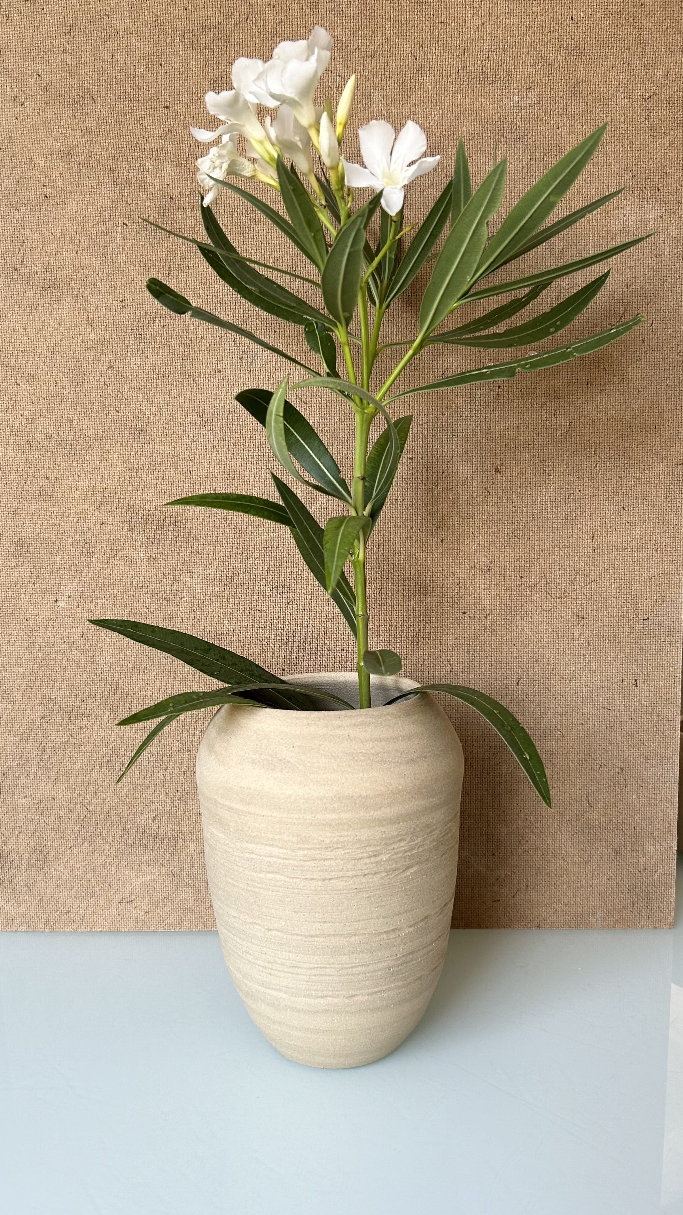 Vase beige intemporel 18 cm