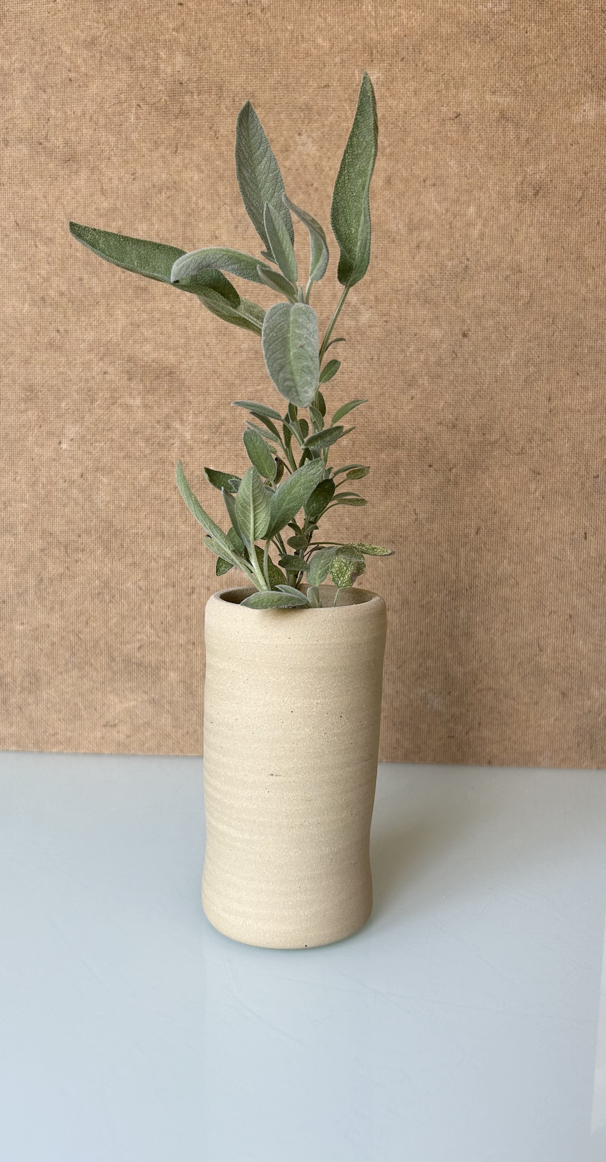 Vase beige intemporel 13 cm