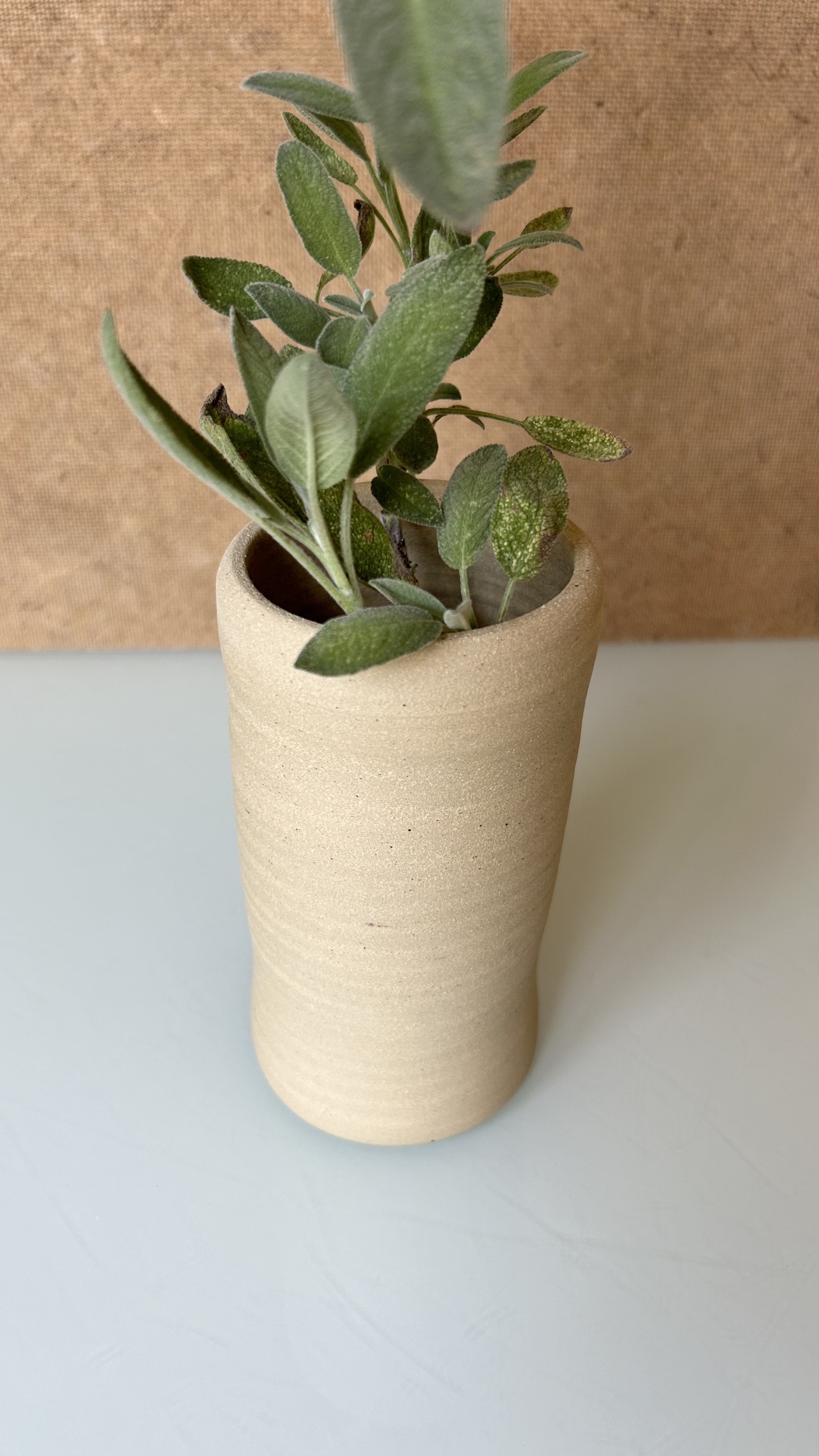 Vase beige intemporel 13 cm
