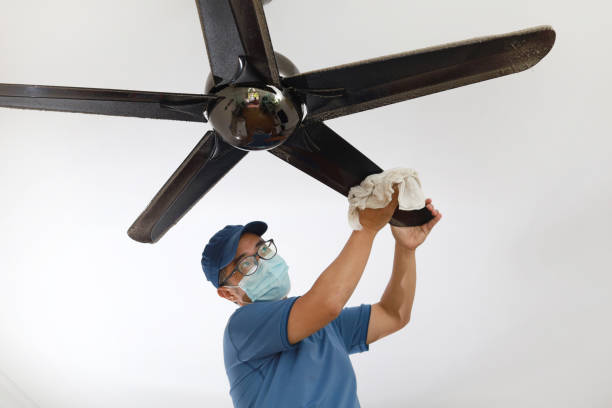 Ceiling fan cleaning