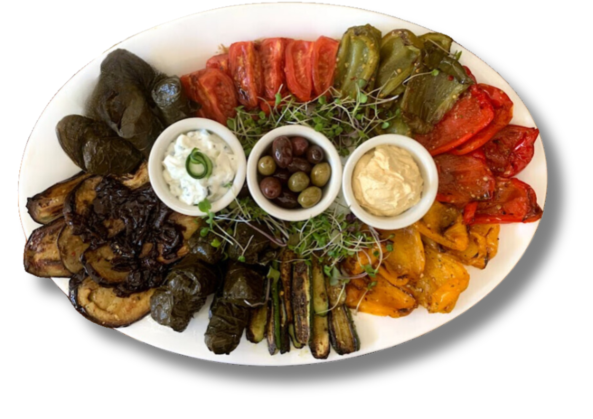 Mediterranean Grilled Vegetarian Platter