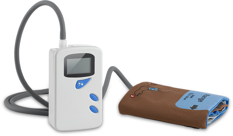 BIOPACH-BP MONITOR