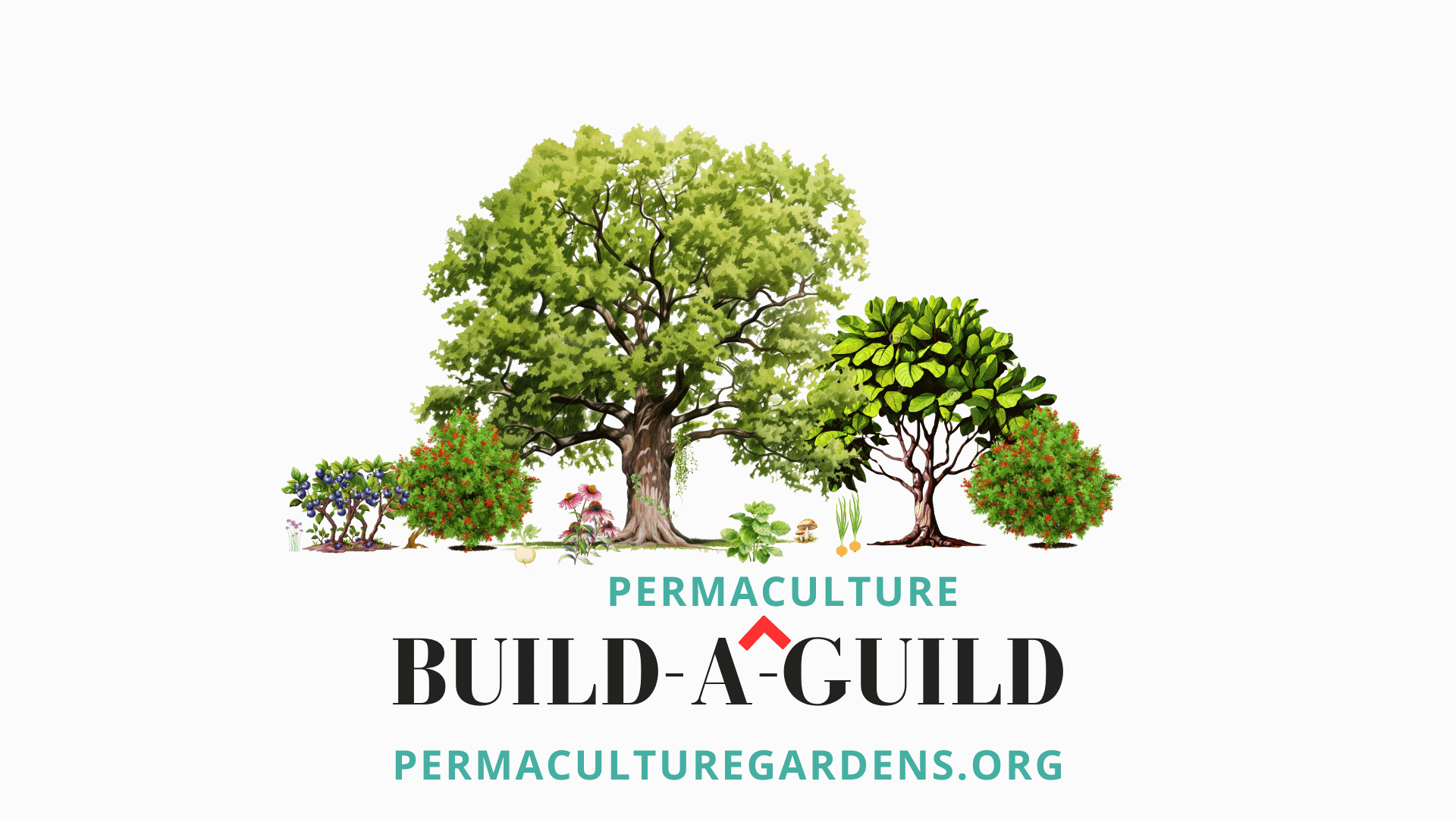 Build a (Permaculture) Guild!