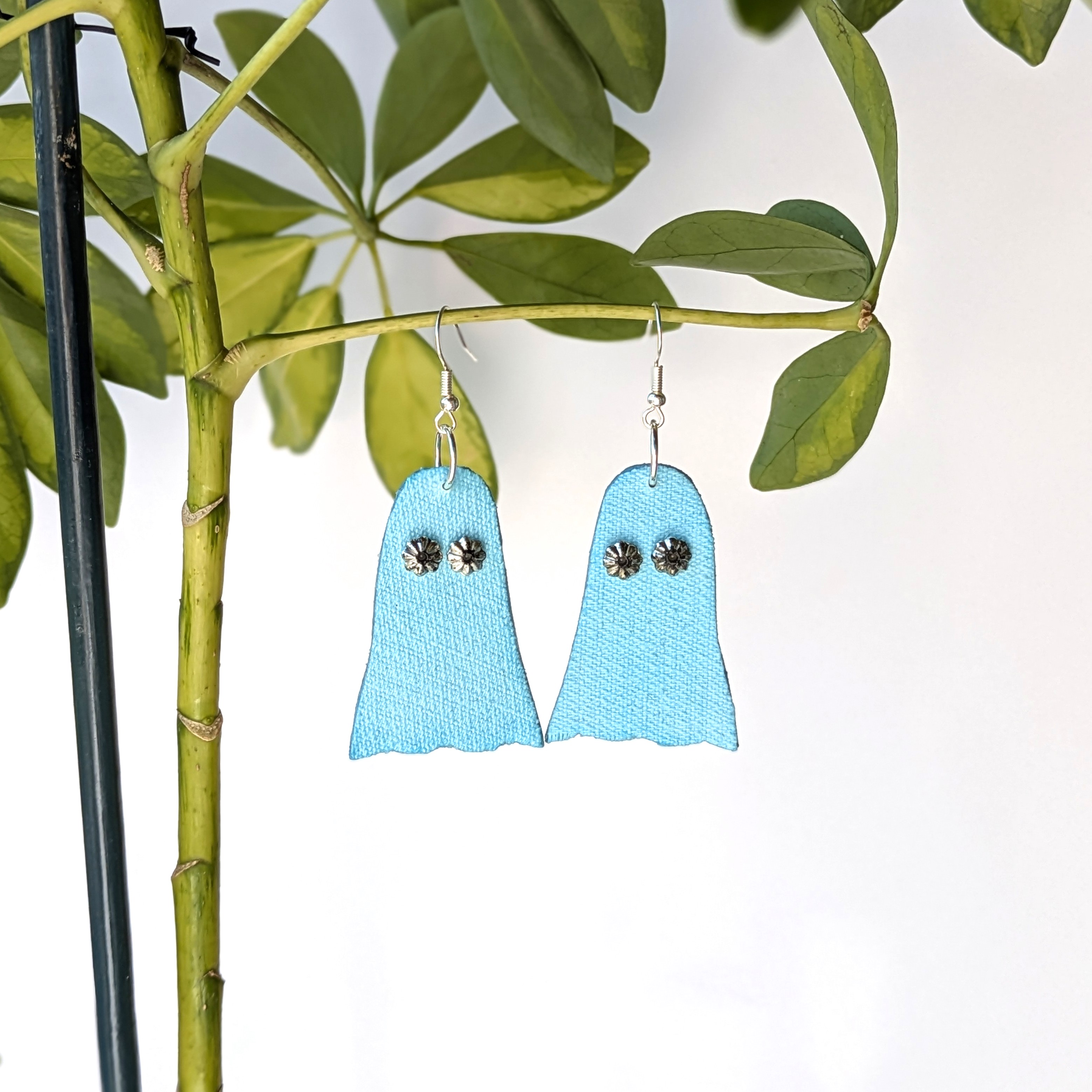 Mėlynasis vaiduoklis