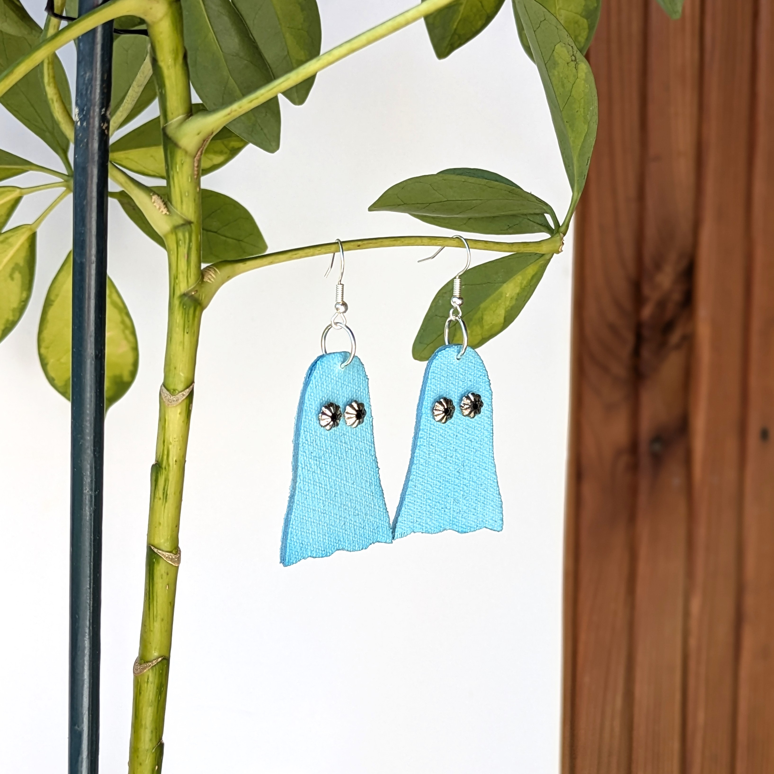 Mėlynasis vaiduoklis