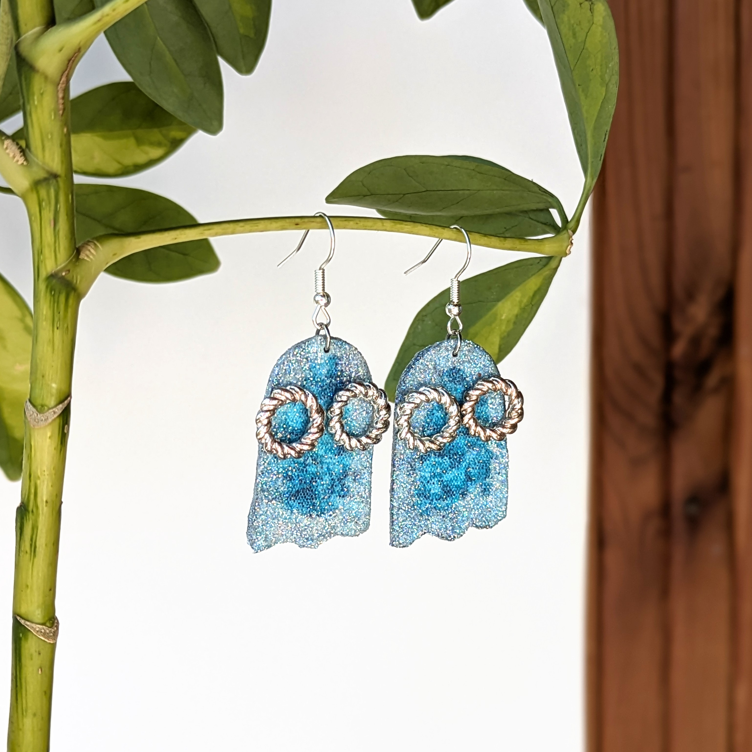 Blizgusis vaiduoklis