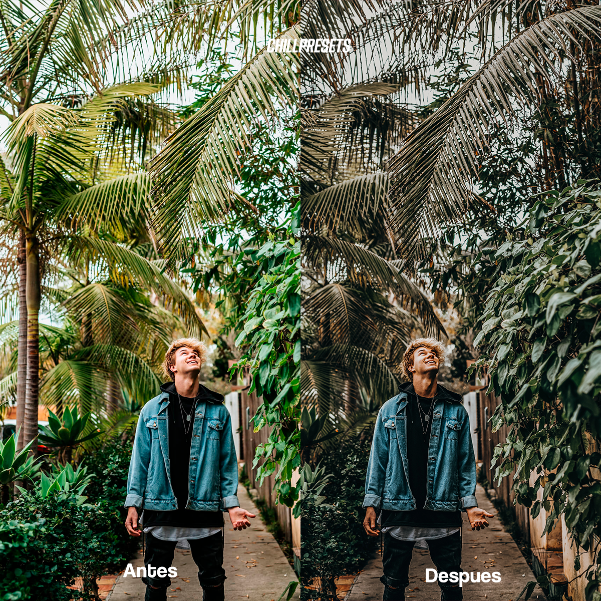 Bali Babe Presets