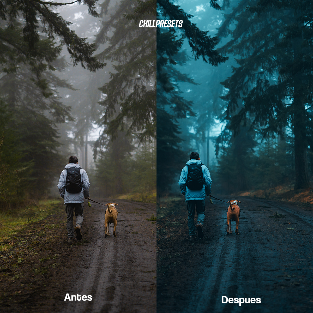 Cinematic Mobile Presets