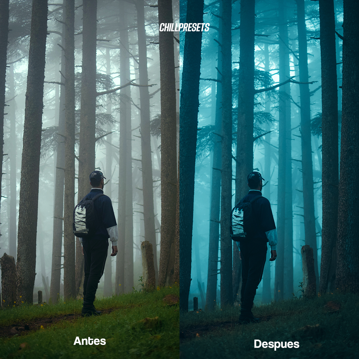 Cinematic Mobile Presets
