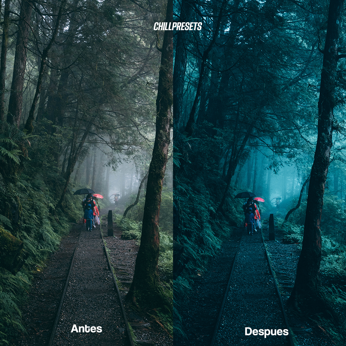 Cinematic Mobile Presets