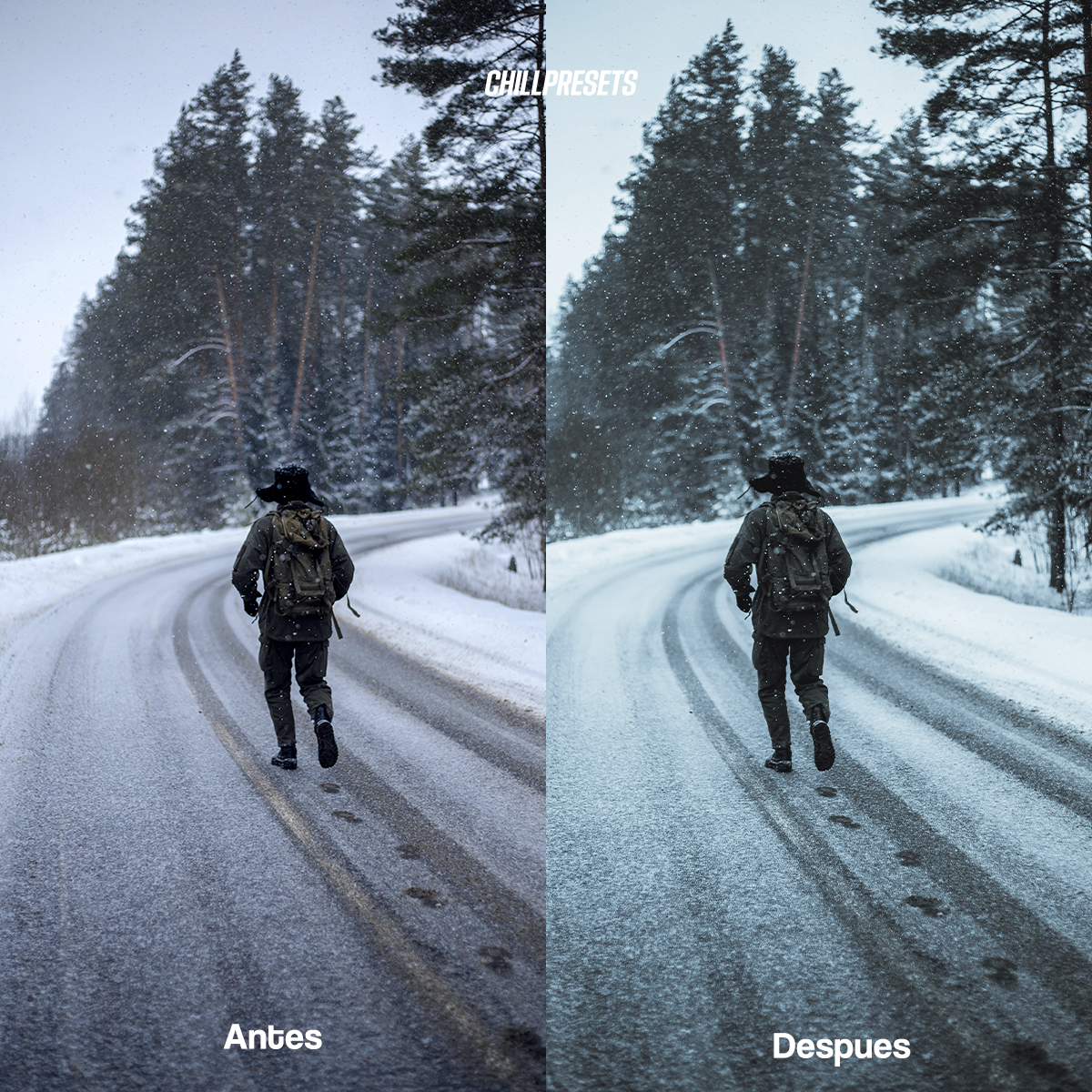 Winter Blues - Mobile Presets