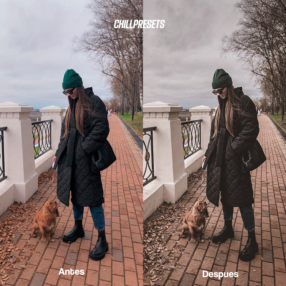 Urban Retro - Mobile Presets