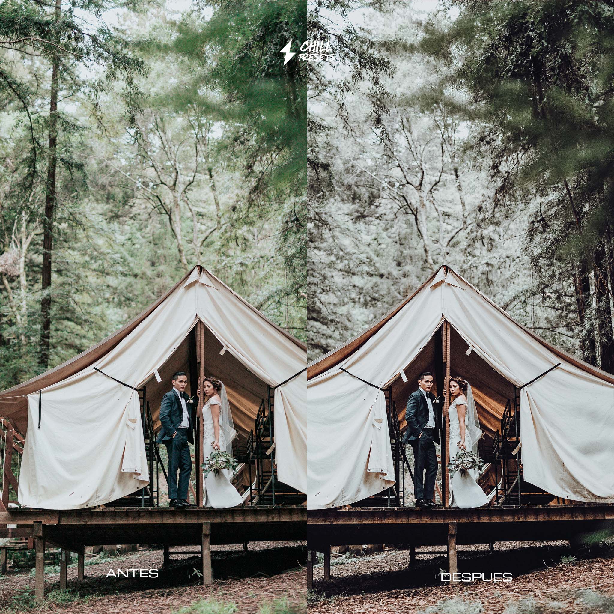 Wedding Presets 