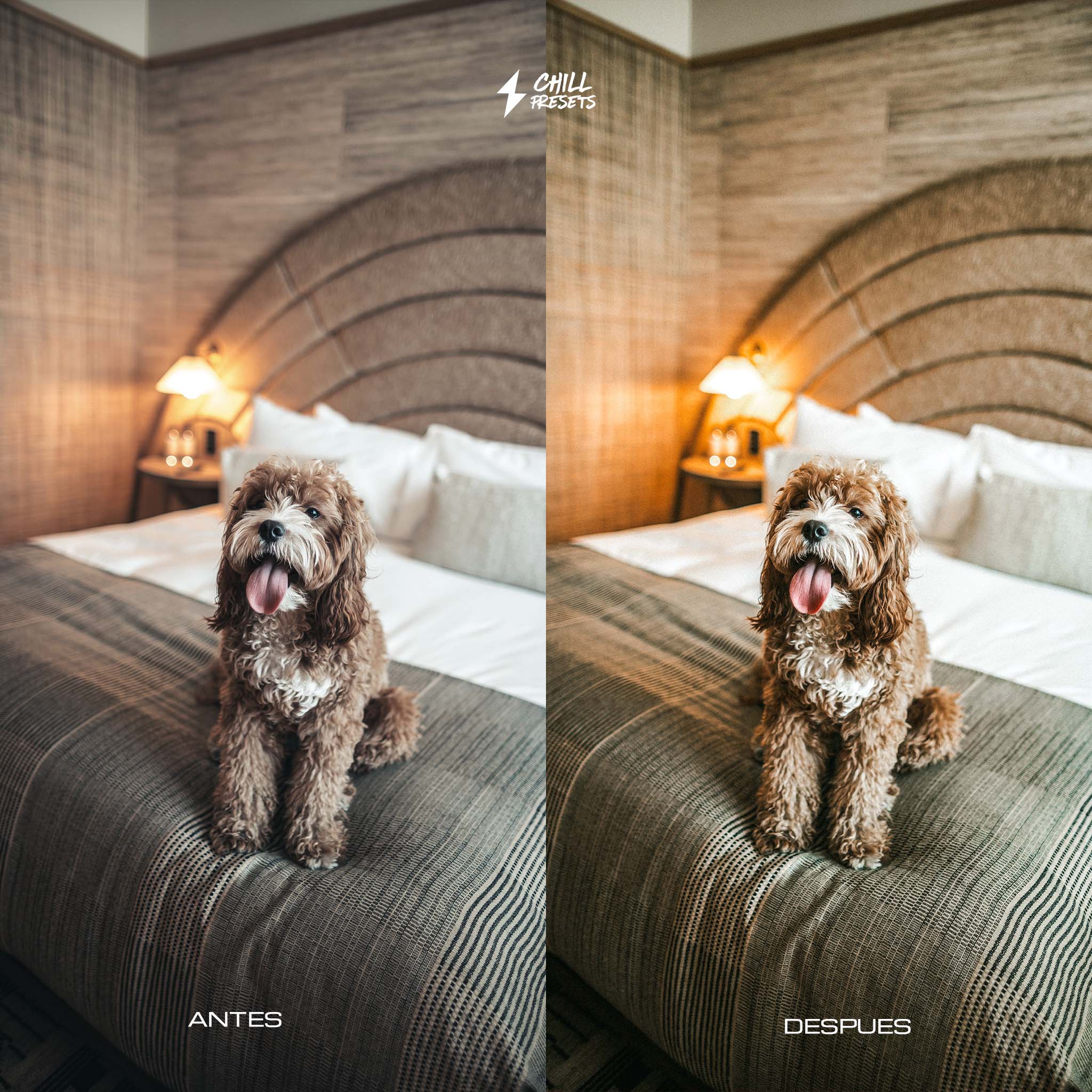Film Cam Presets