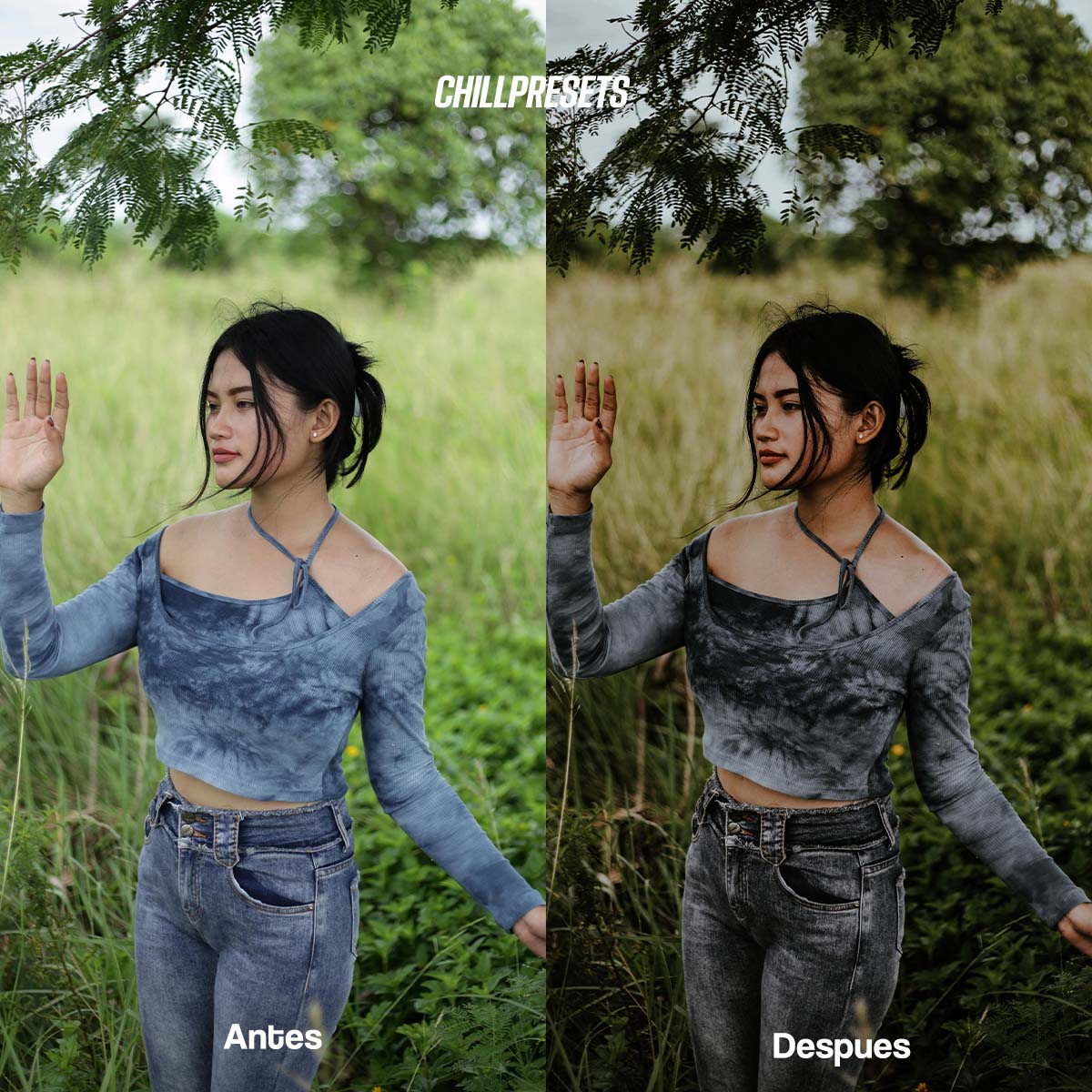 Film Cam Presets - Mobile Lightroom Presets