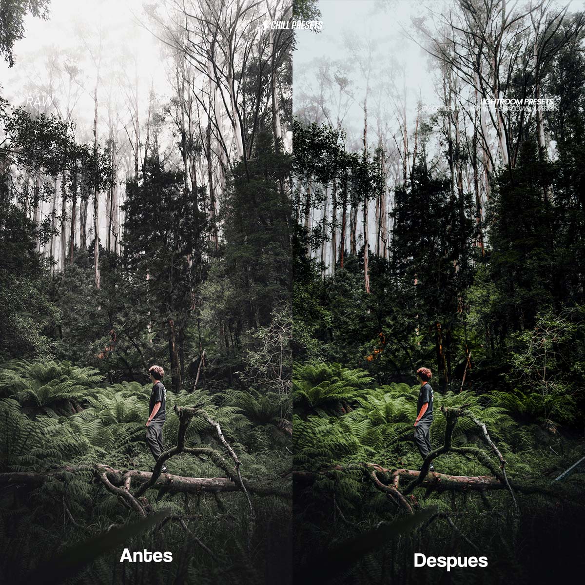 Explorer Collections - Lightroom Presets