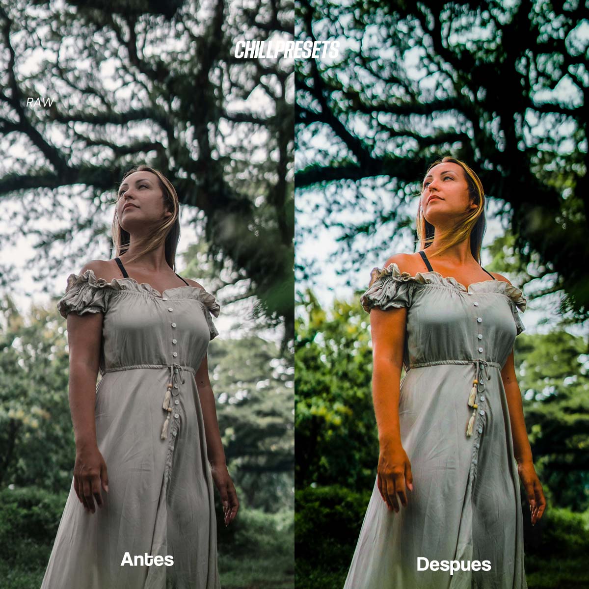 Explorer Presets V1 - Lightroom Presets