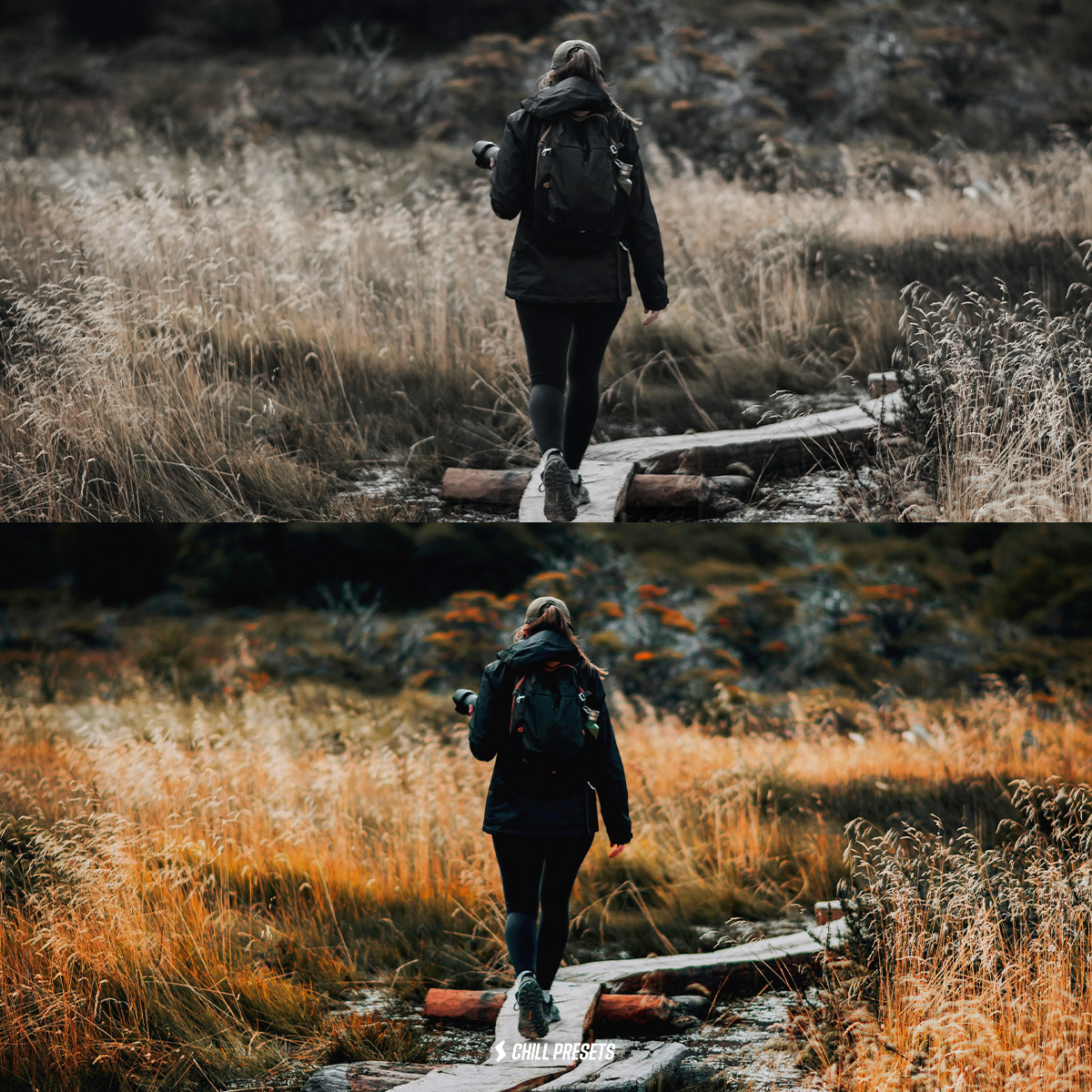 LUTs Cinematic Tones