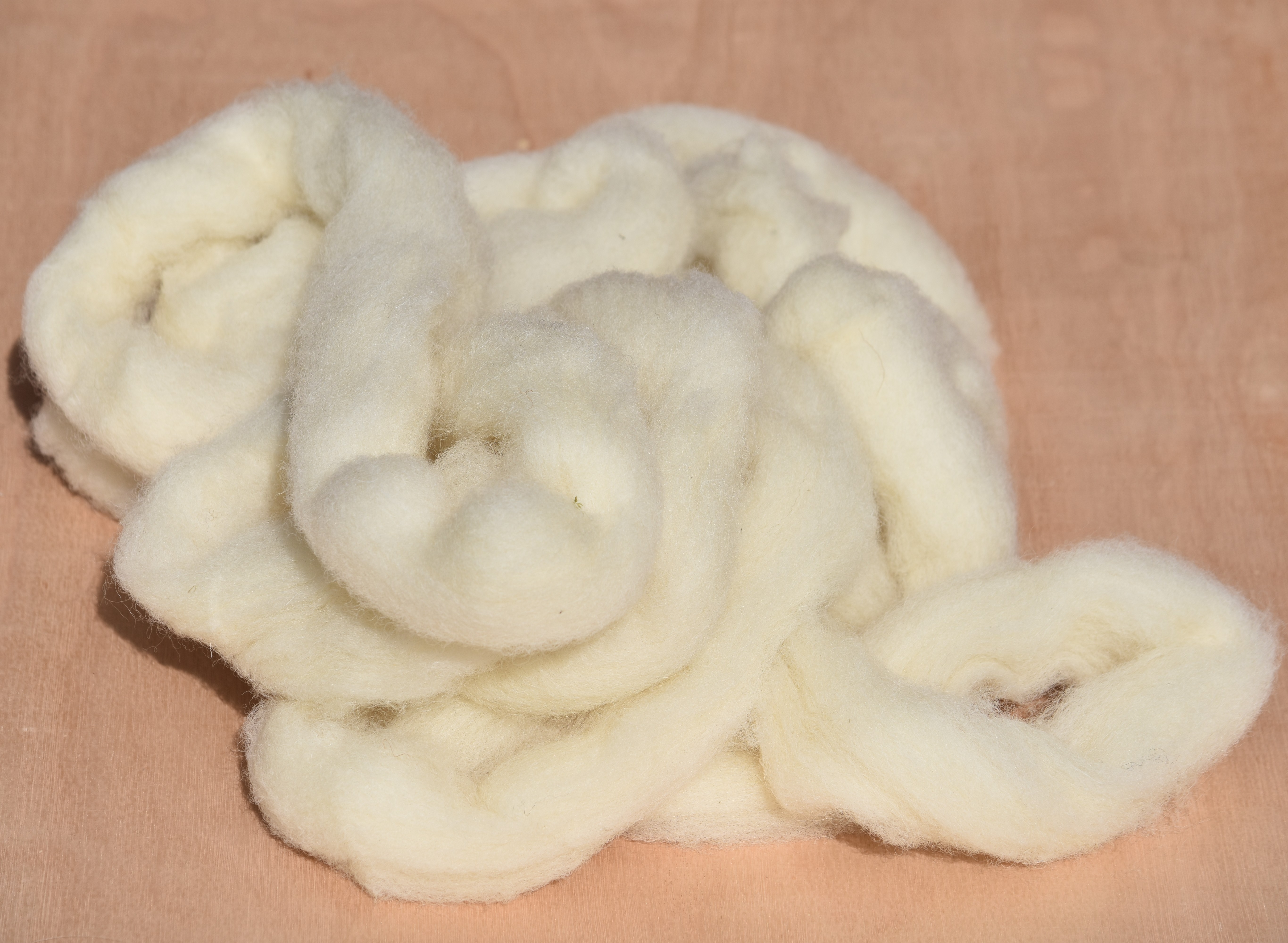 100g Hill Radnor Rovings