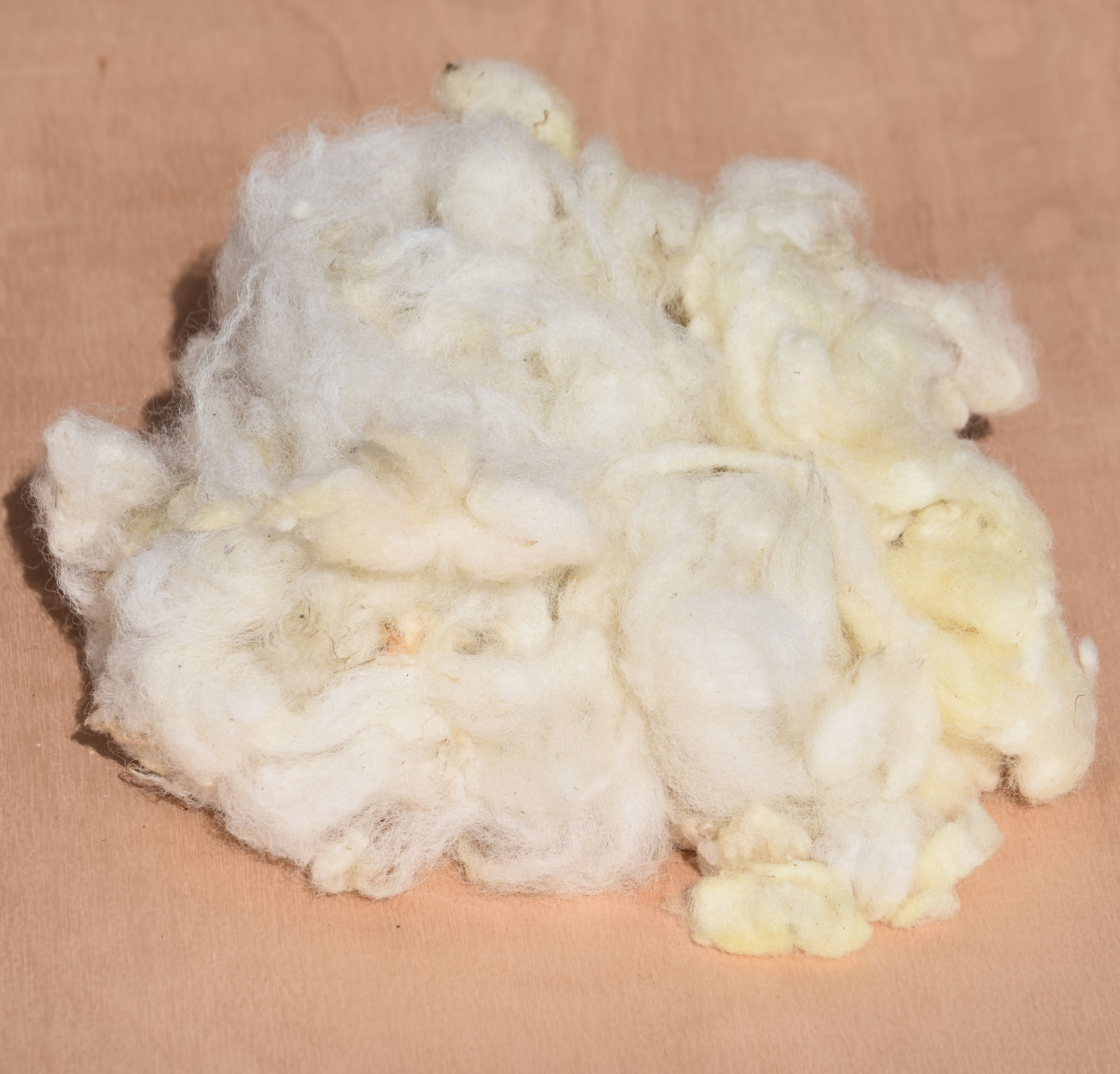 100g Hand Washed Hill Radnor Fleece