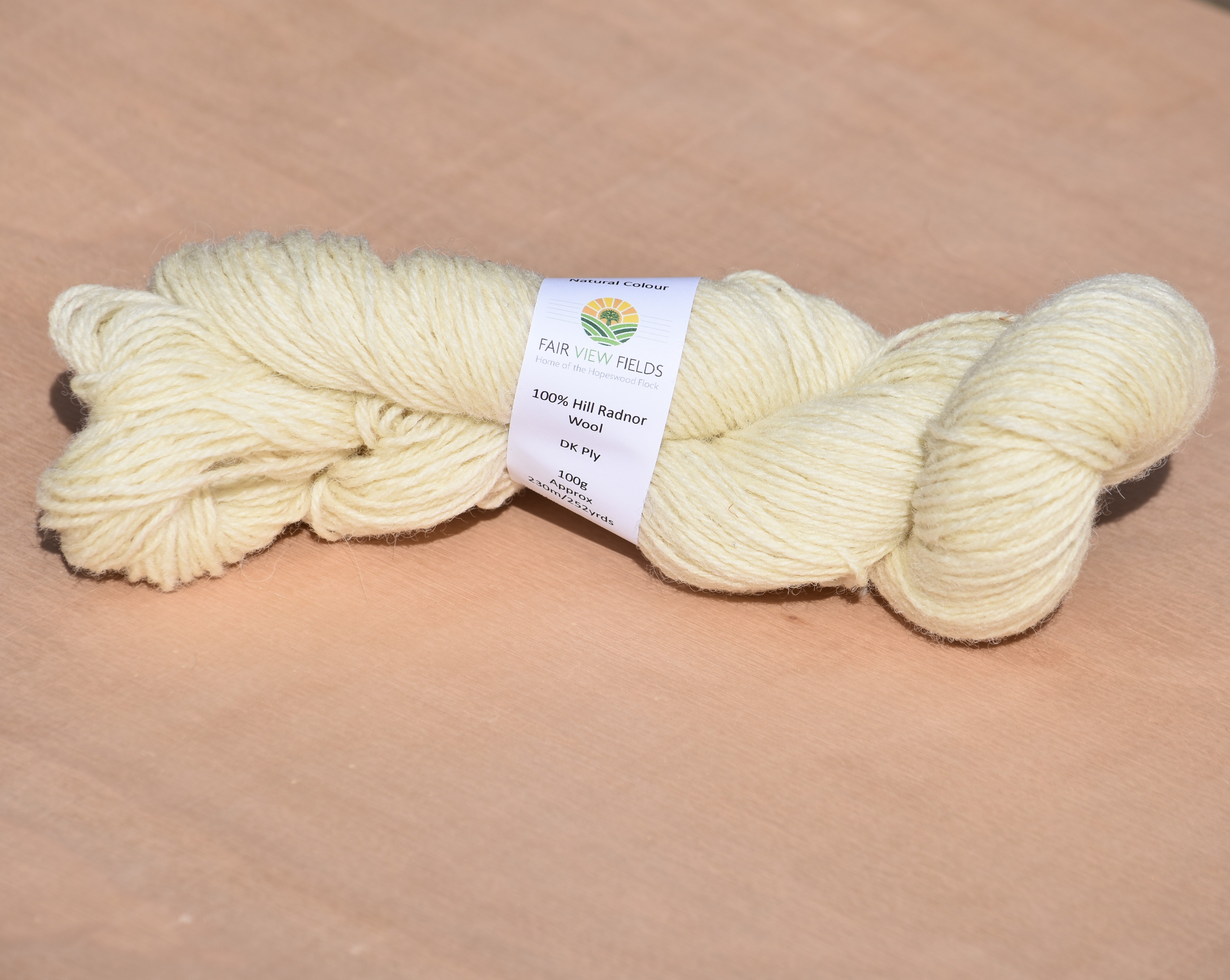 100g Skein of 100% Hill Radnor Wool DK Ply