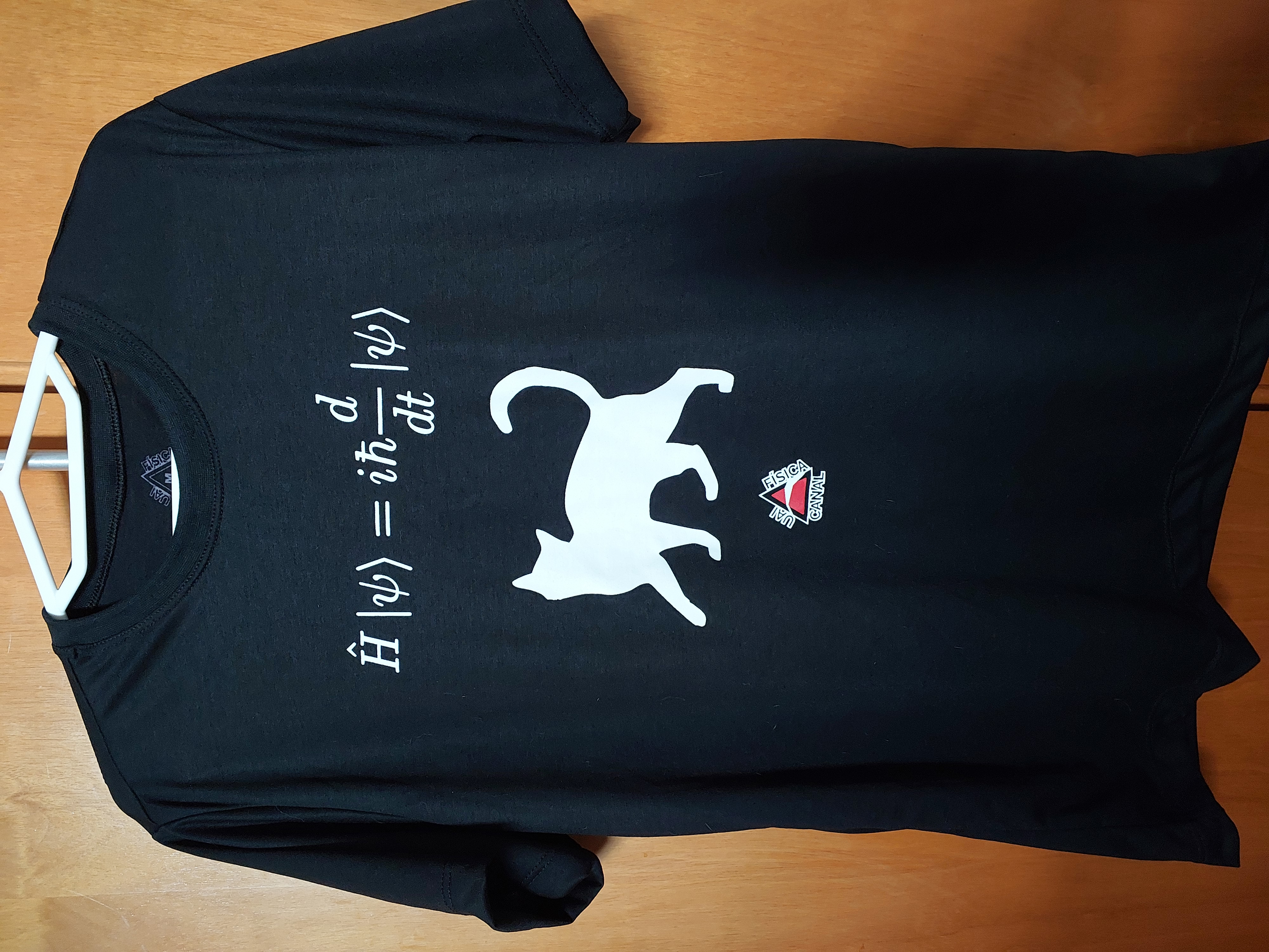 Camisa equação de Schroedinger