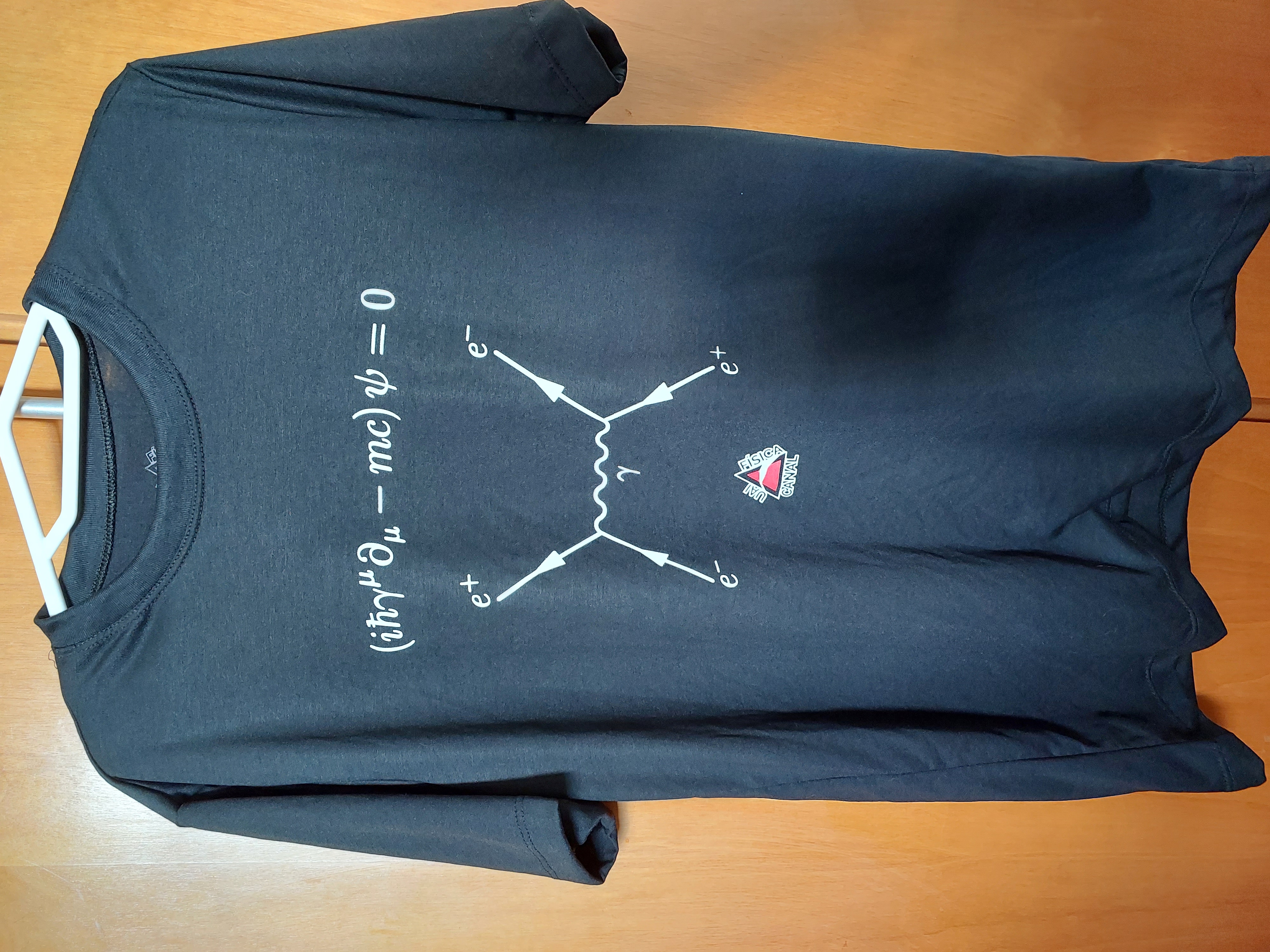 Camisa equação de Dirac