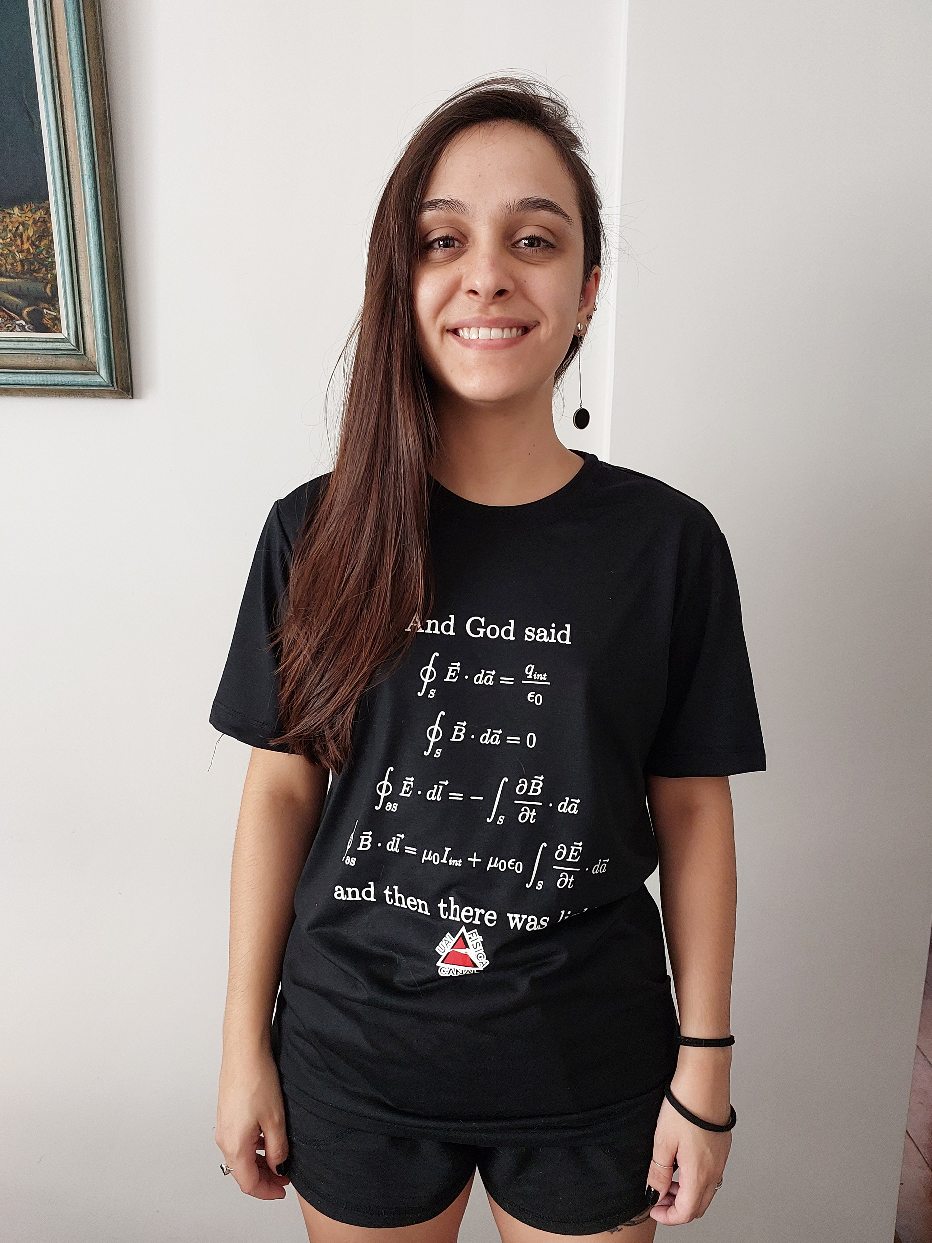 Camisa equações de Maxwell Forma Integral