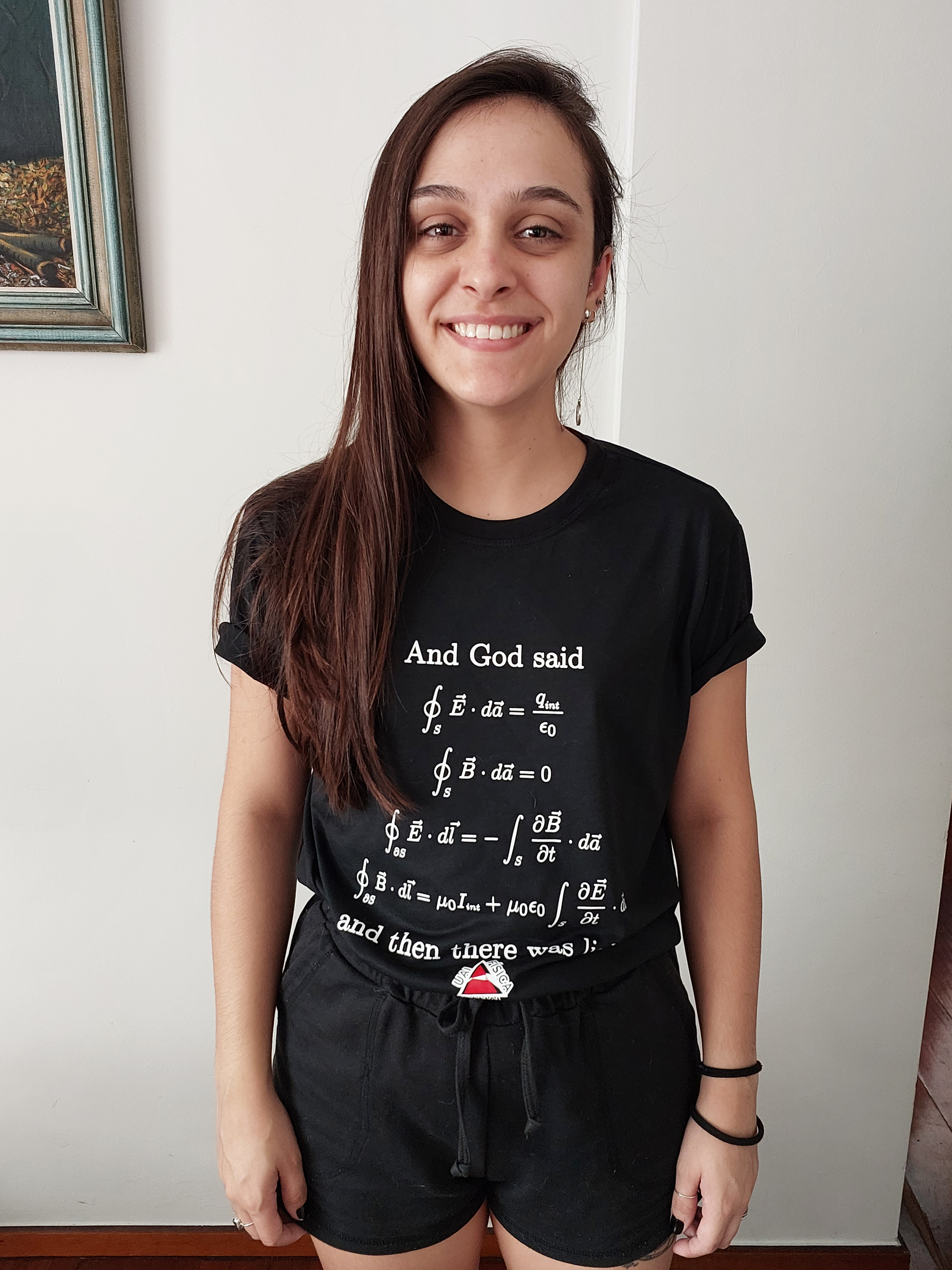 Camisa equações de Maxwell Forma Integral