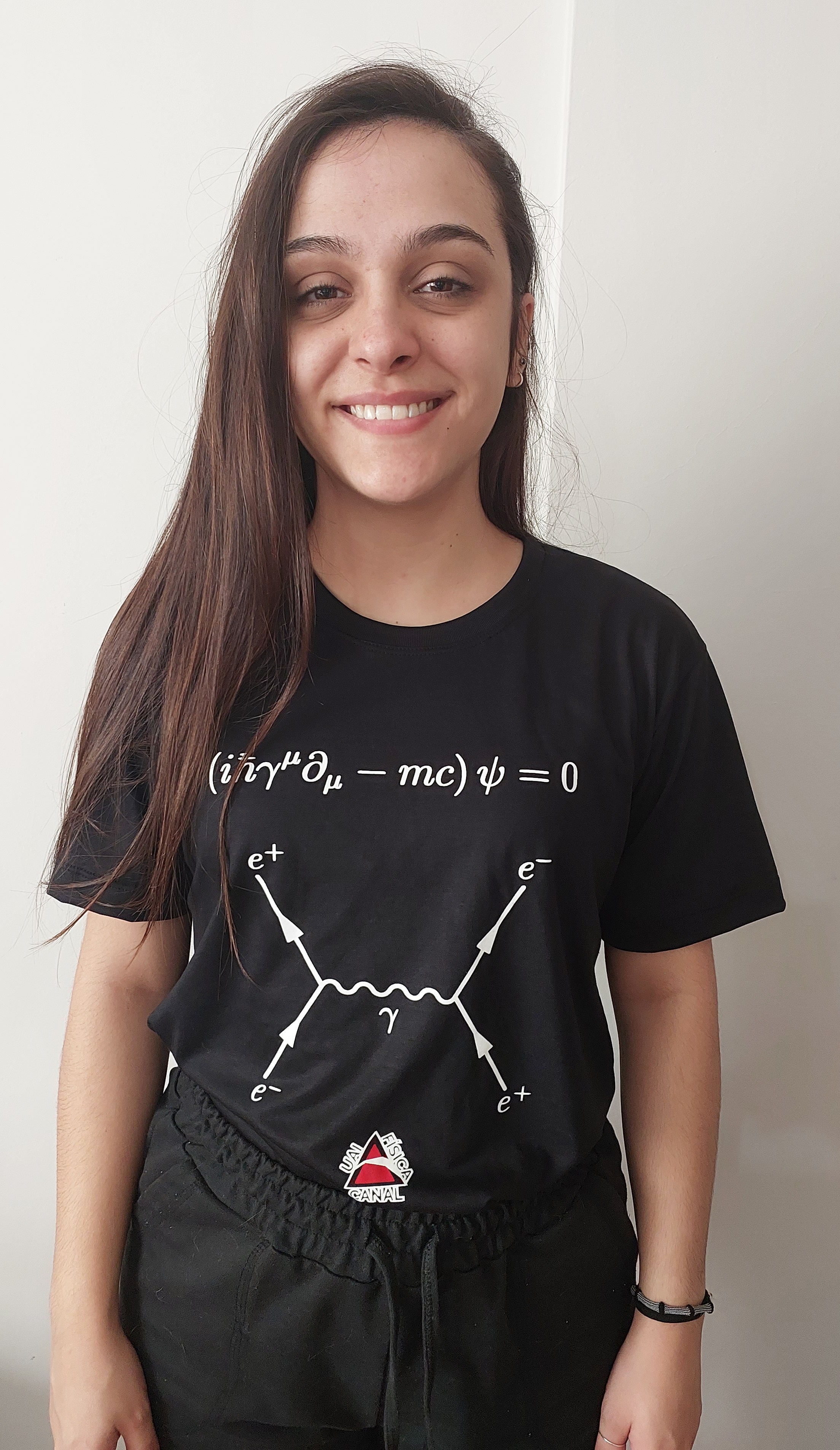 Camisa equação de Dirac