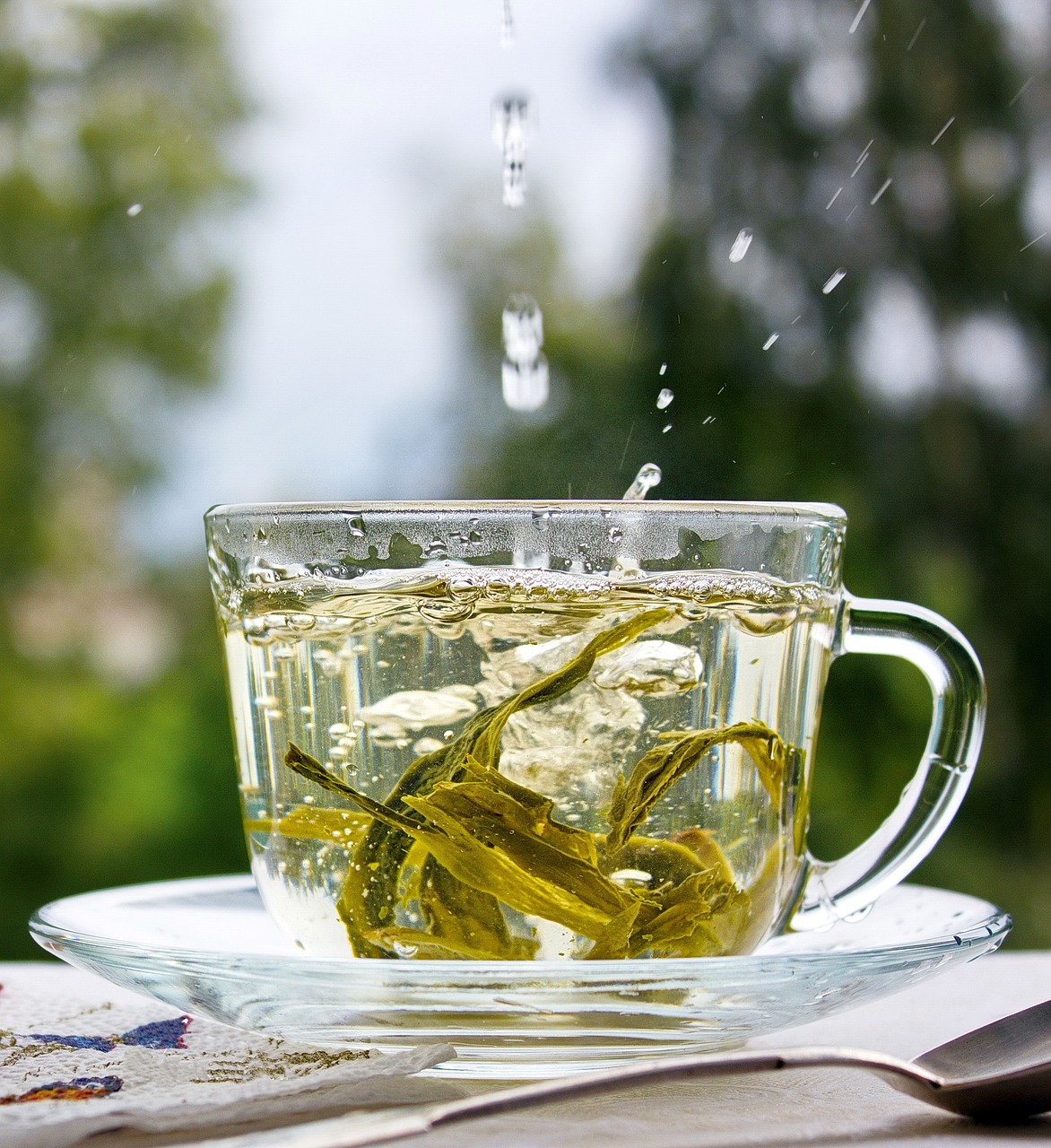GREEN TEA