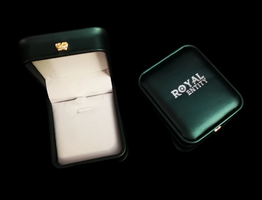 ROYAL ENTITY FAUX LEATHER JEWELRY BOX