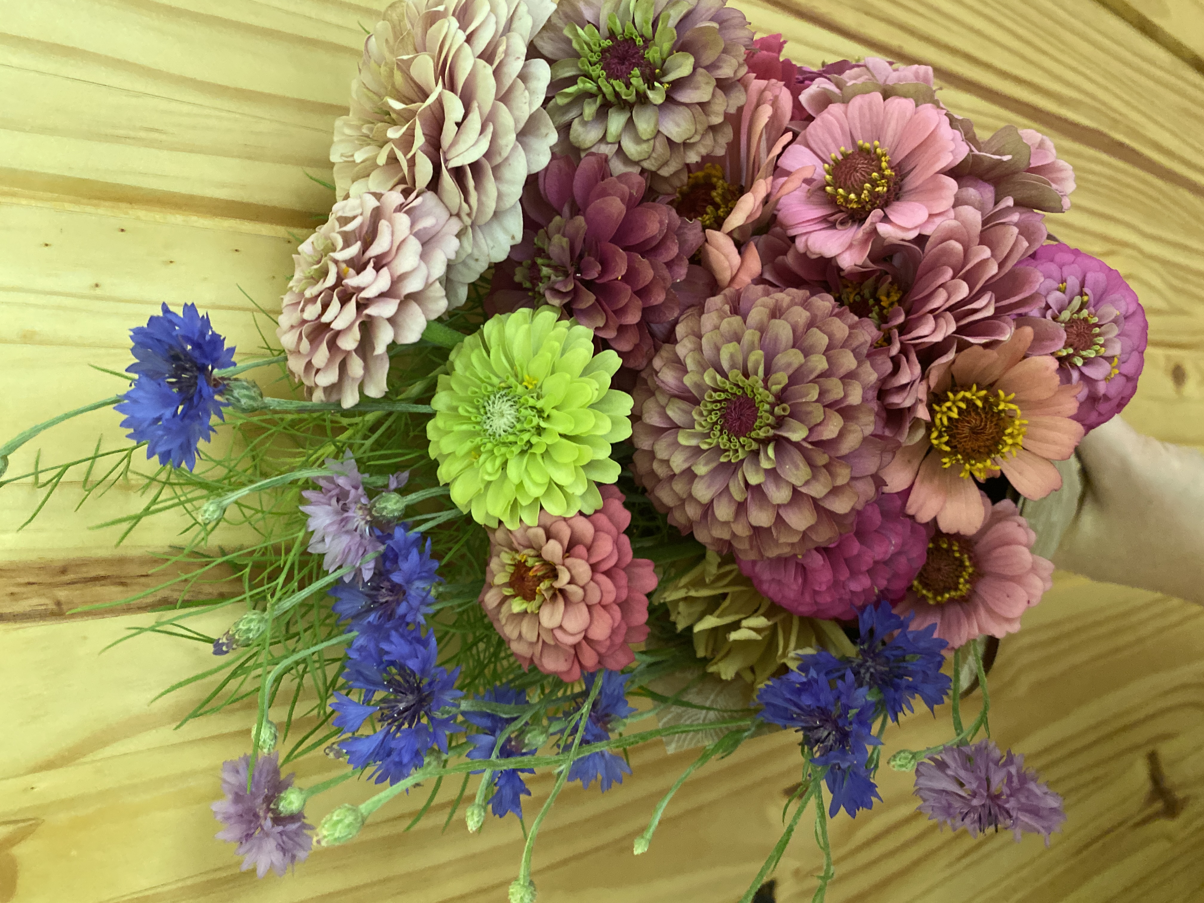 Summer Bouquet Subscription * 5 WEEK BI-WEEKLY*