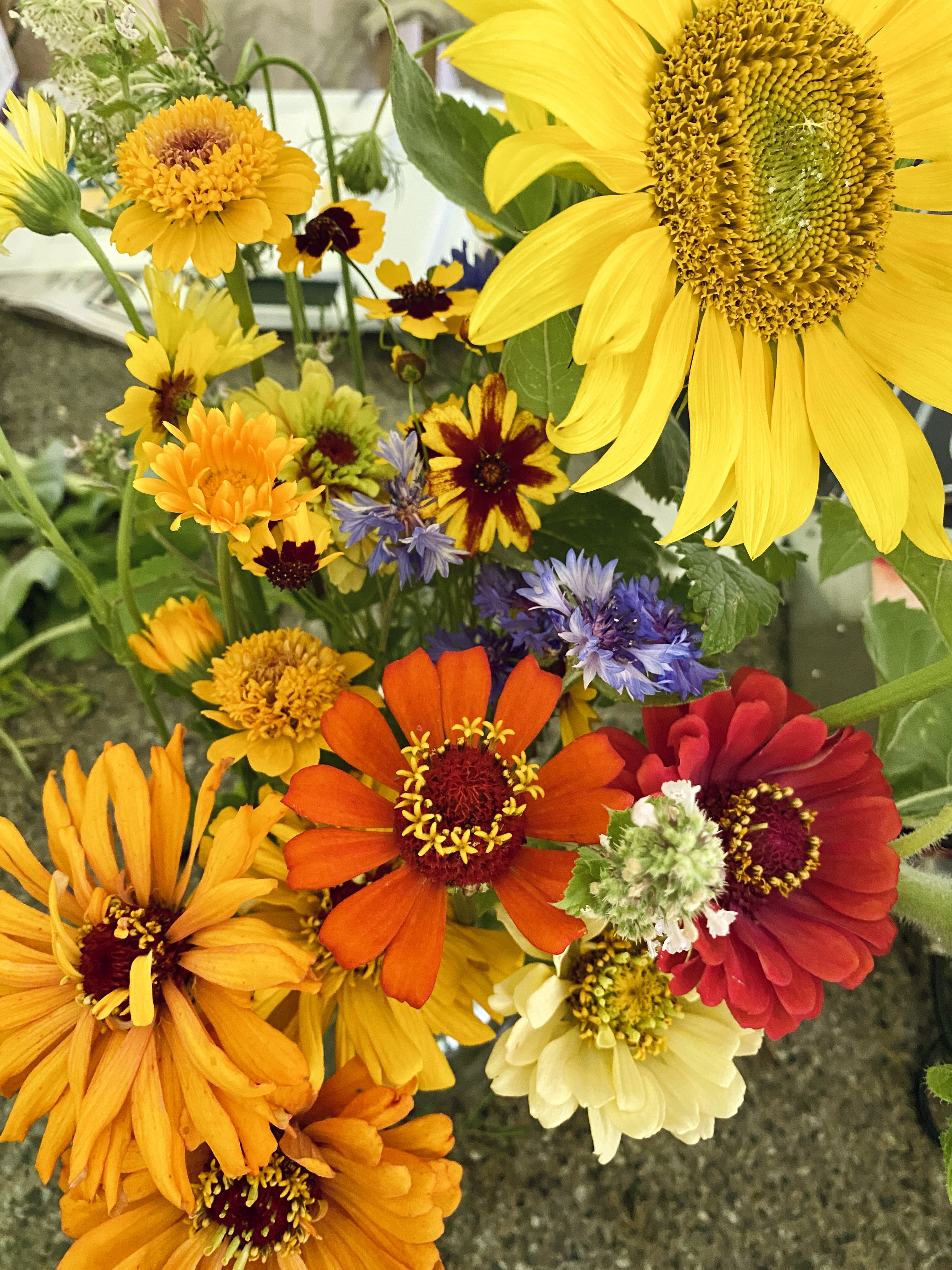 Summer Bouquet Subscription * 5 WEEK BI-WEEKLY* 