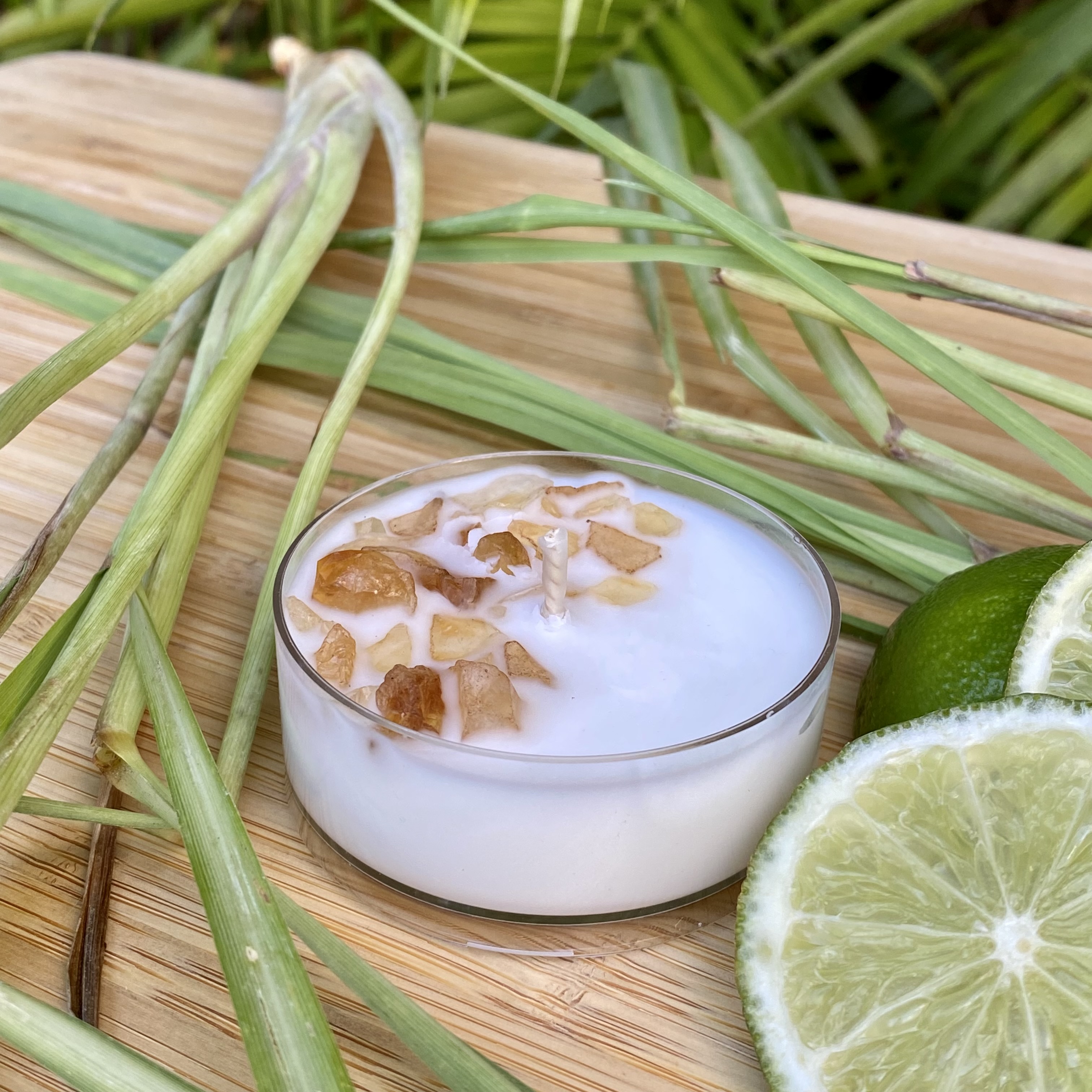 Lemongrass and Persian Lime Coconut Soy Citrine Maxi Tealight Candle