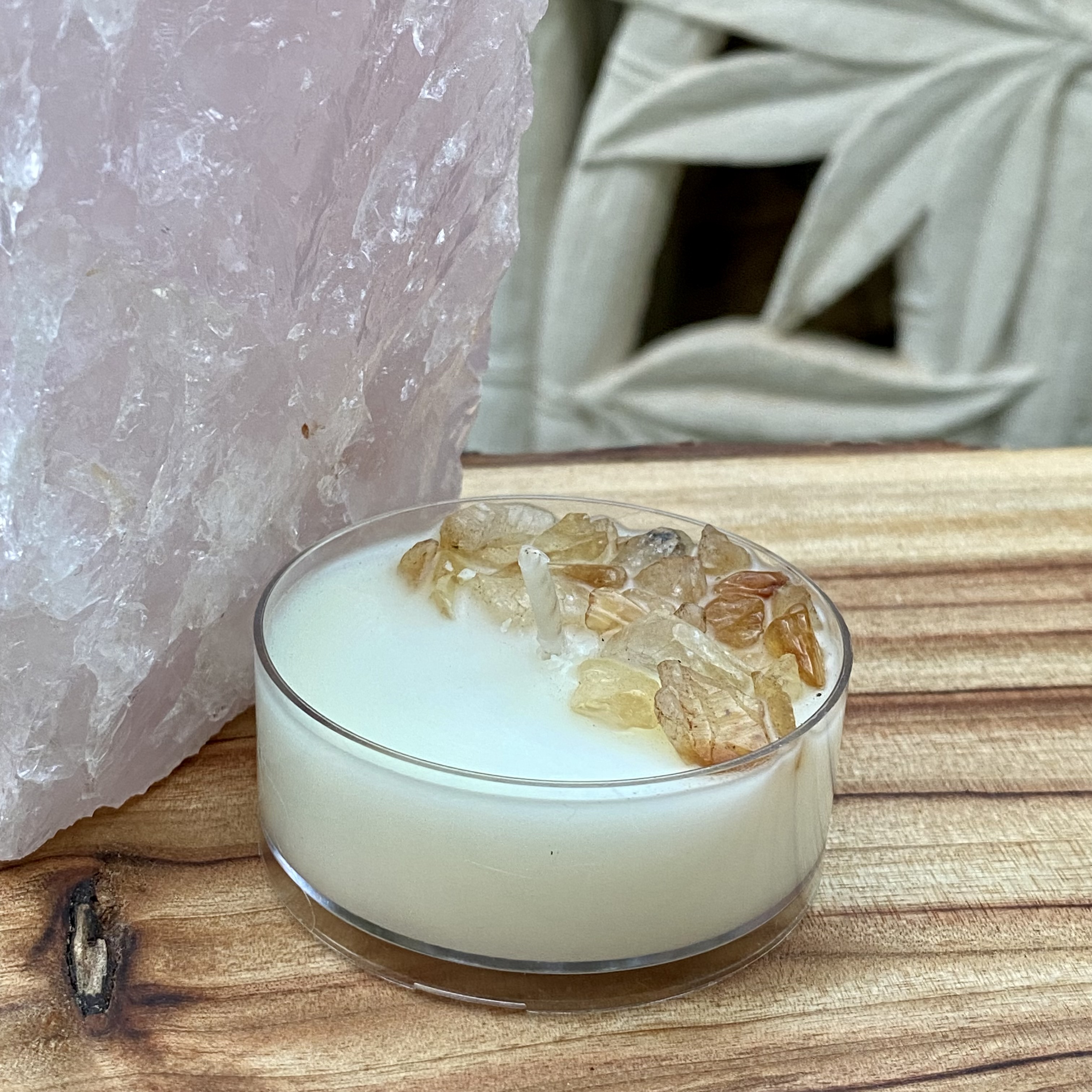 Japanese honeysuckle Coconut Soy Citrine Maxi Tealight Candle