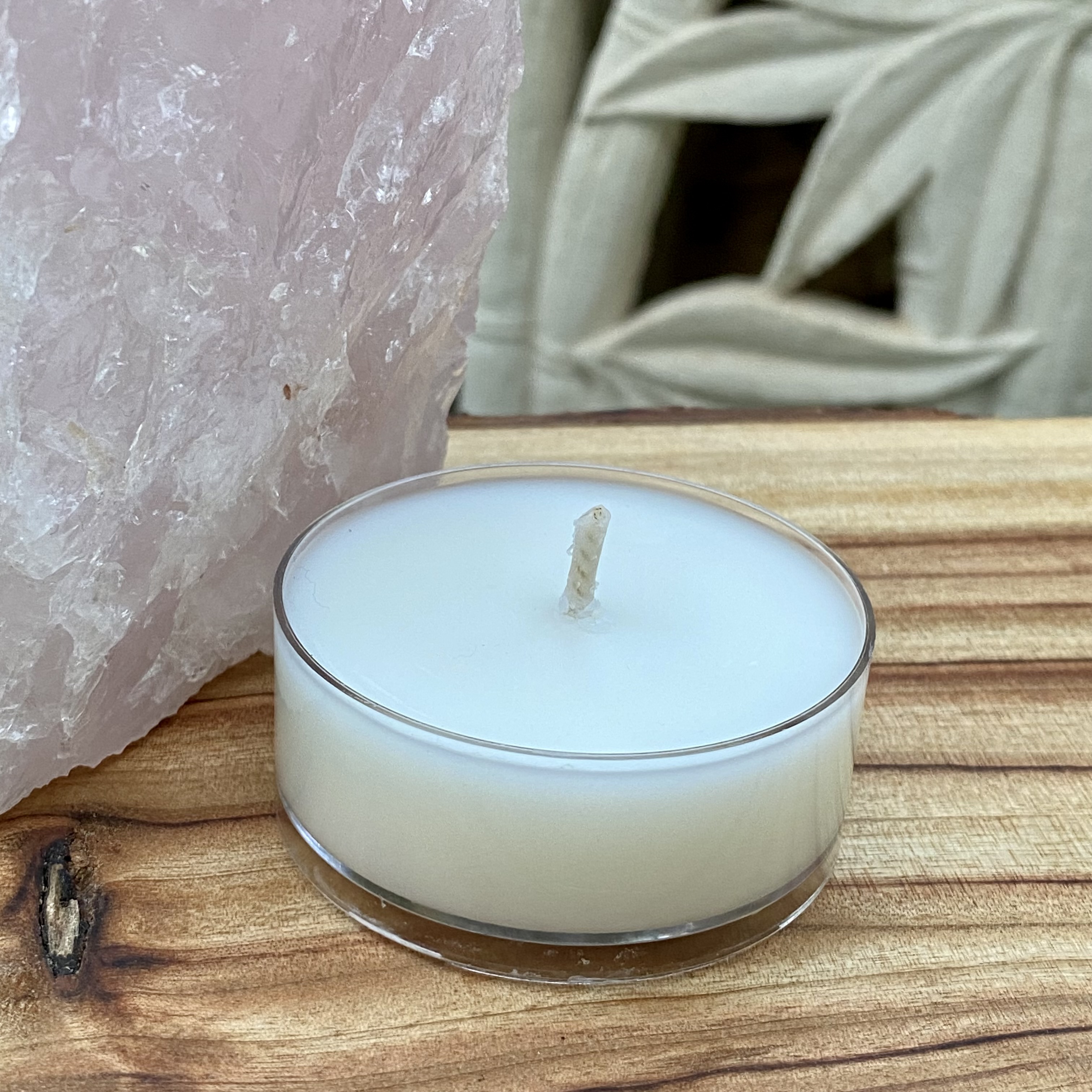 Japanese honeysuckle Coconut Soy Maxi Tealight Candle