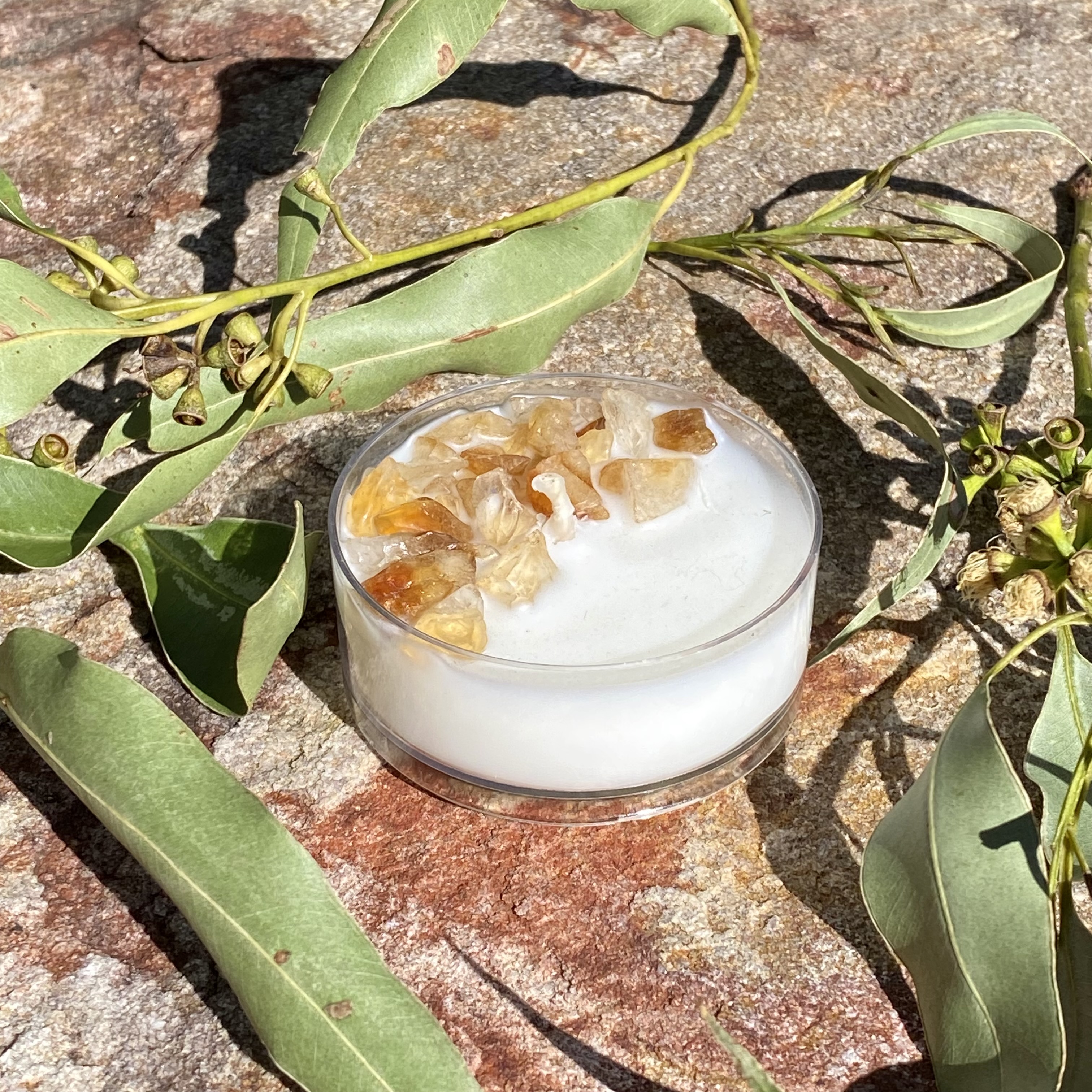 Australian Bush Coconut Soy Citrine Maxi Tealight Candle