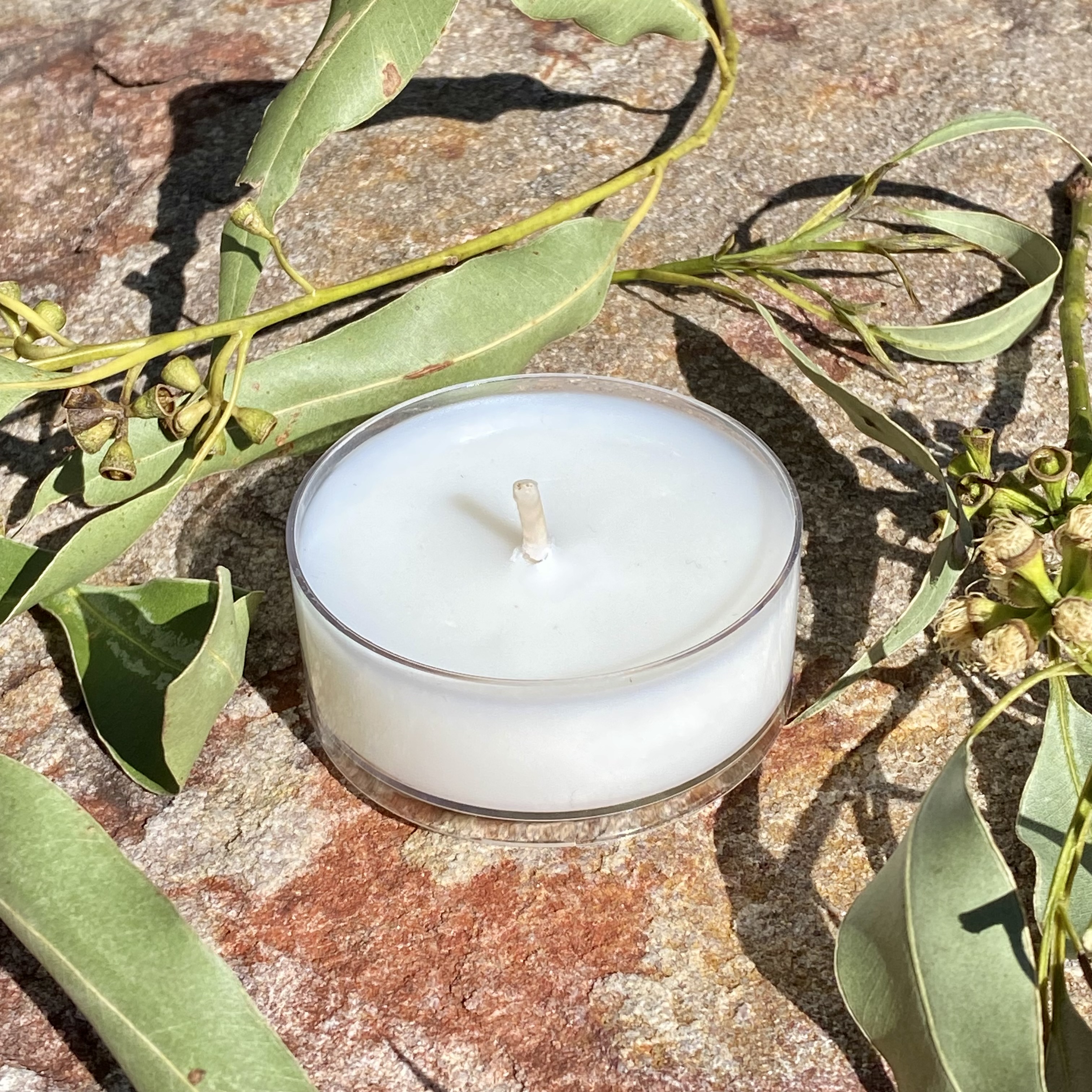 Australian Bush Coconut Soy Maxi Tealight Candle