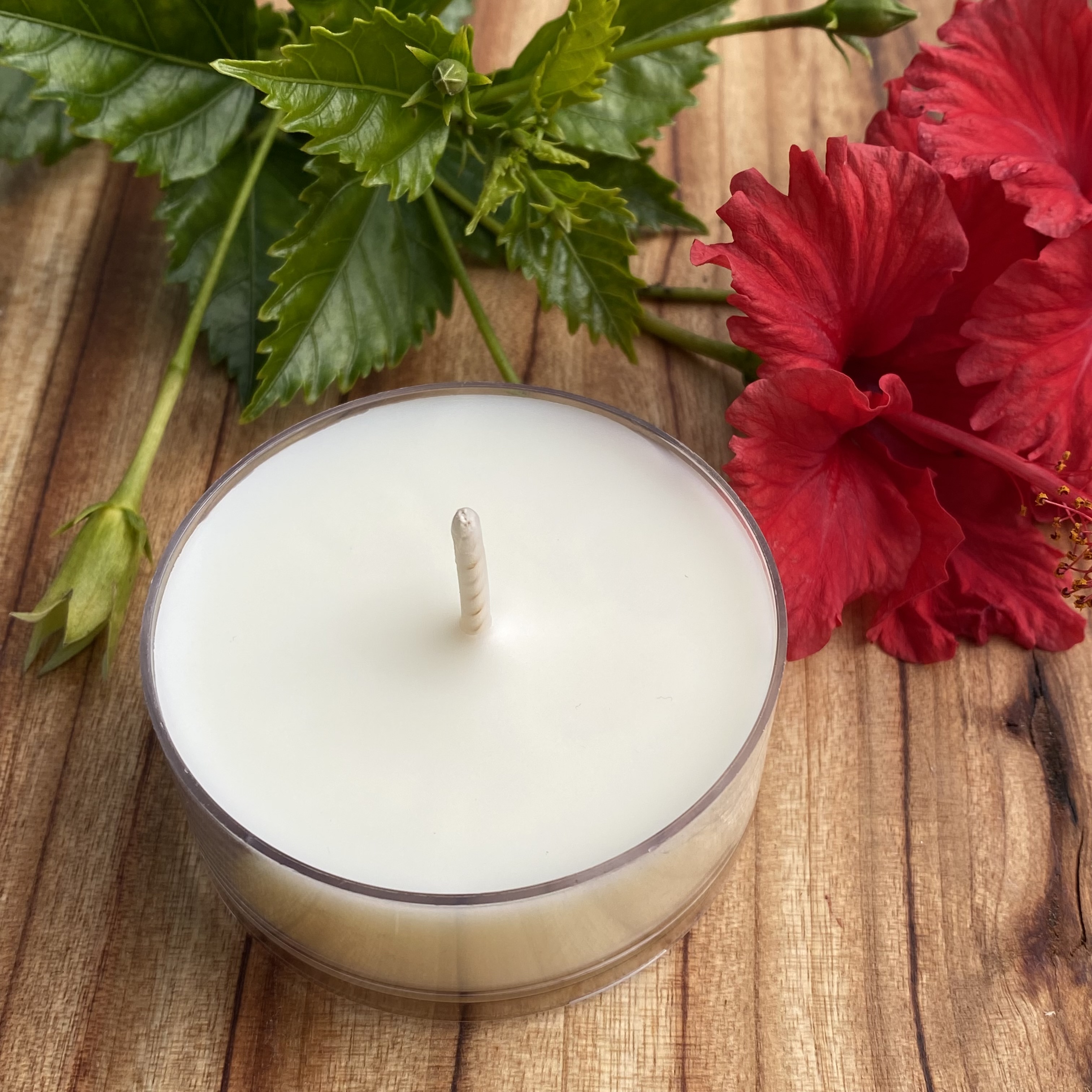 Tropical Tangerine Coconut Soy Maxi Tealight Candle