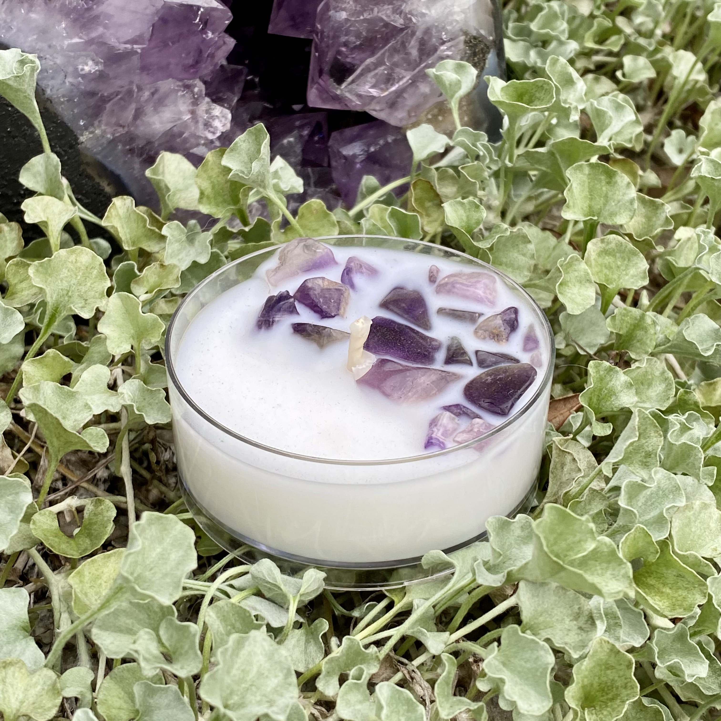 Scentless Serenity Coconut Soy Amethyst Maxi Tealight Candle