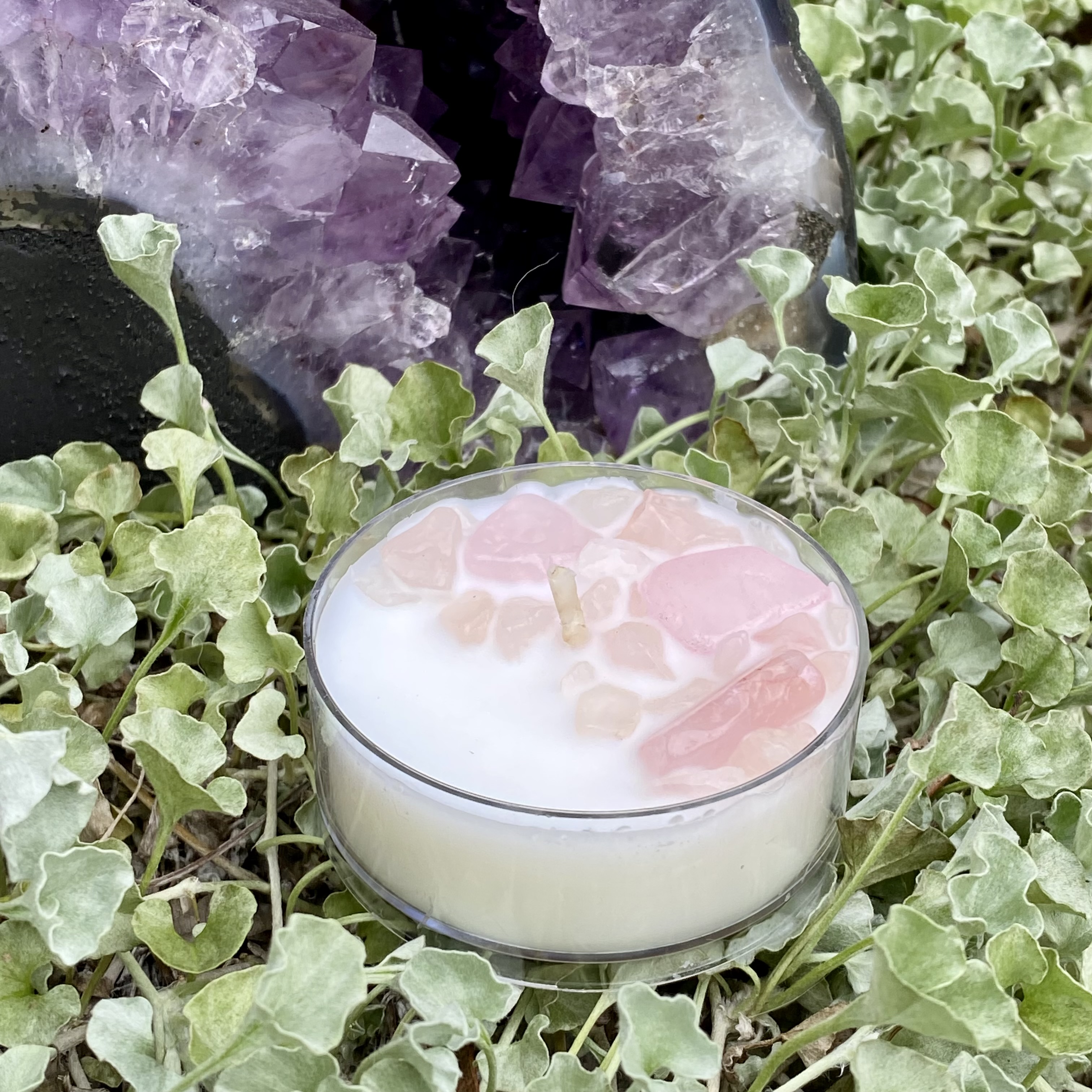 Scentless Serenity Coconut Soy Rose Quartz Maxi Tealight Candle