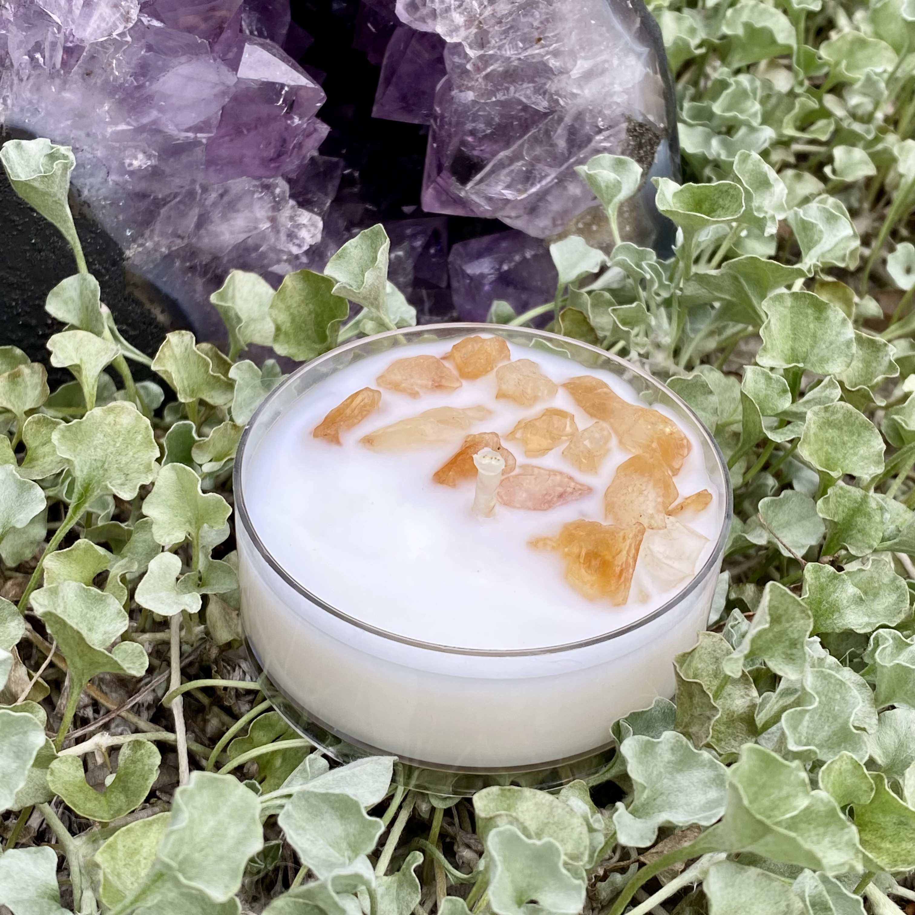 Scentless Serenity Coconut Soy Citrine Maxi Tealight Candle