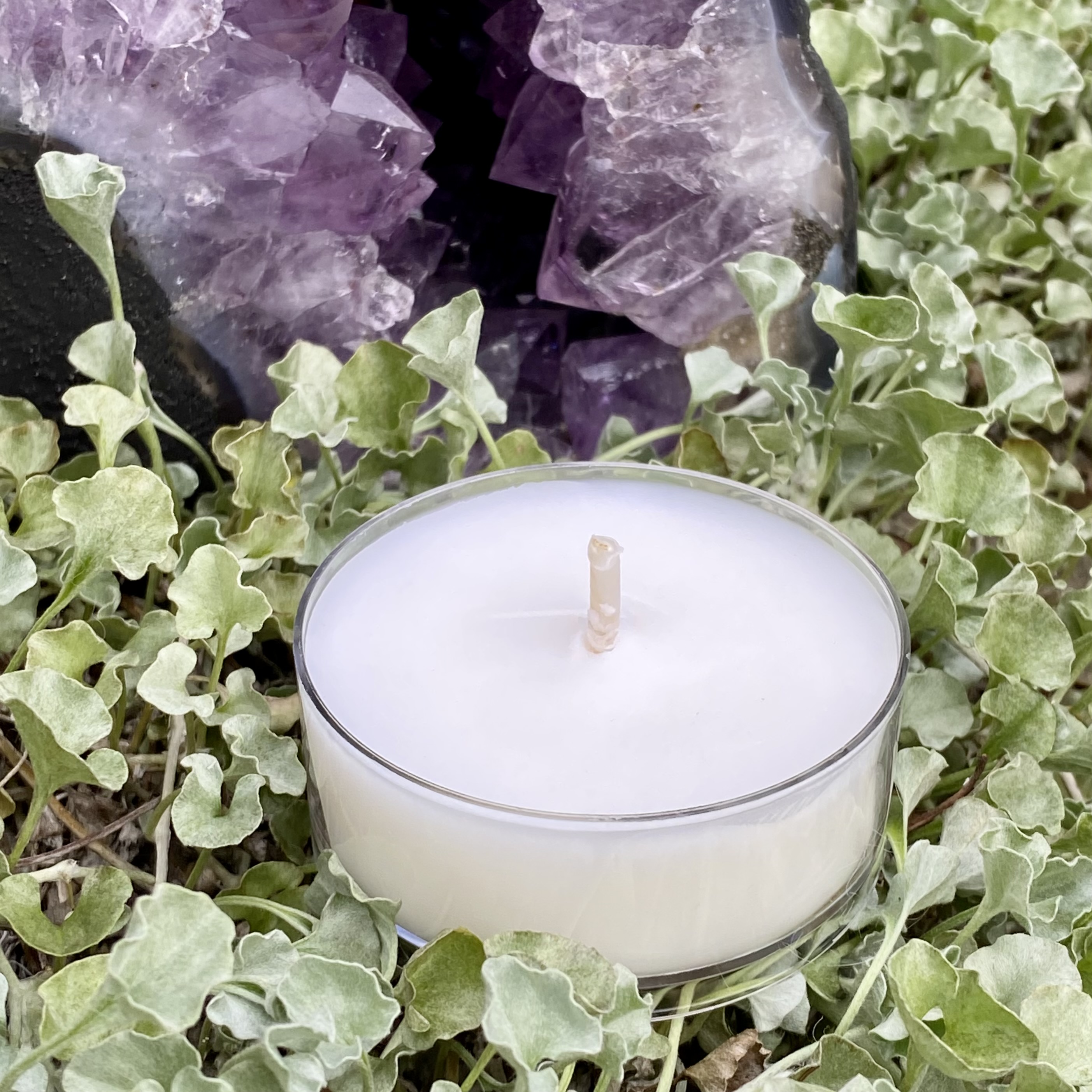 Scentless Serenity Coconut Soy Maxi Tealight Candle