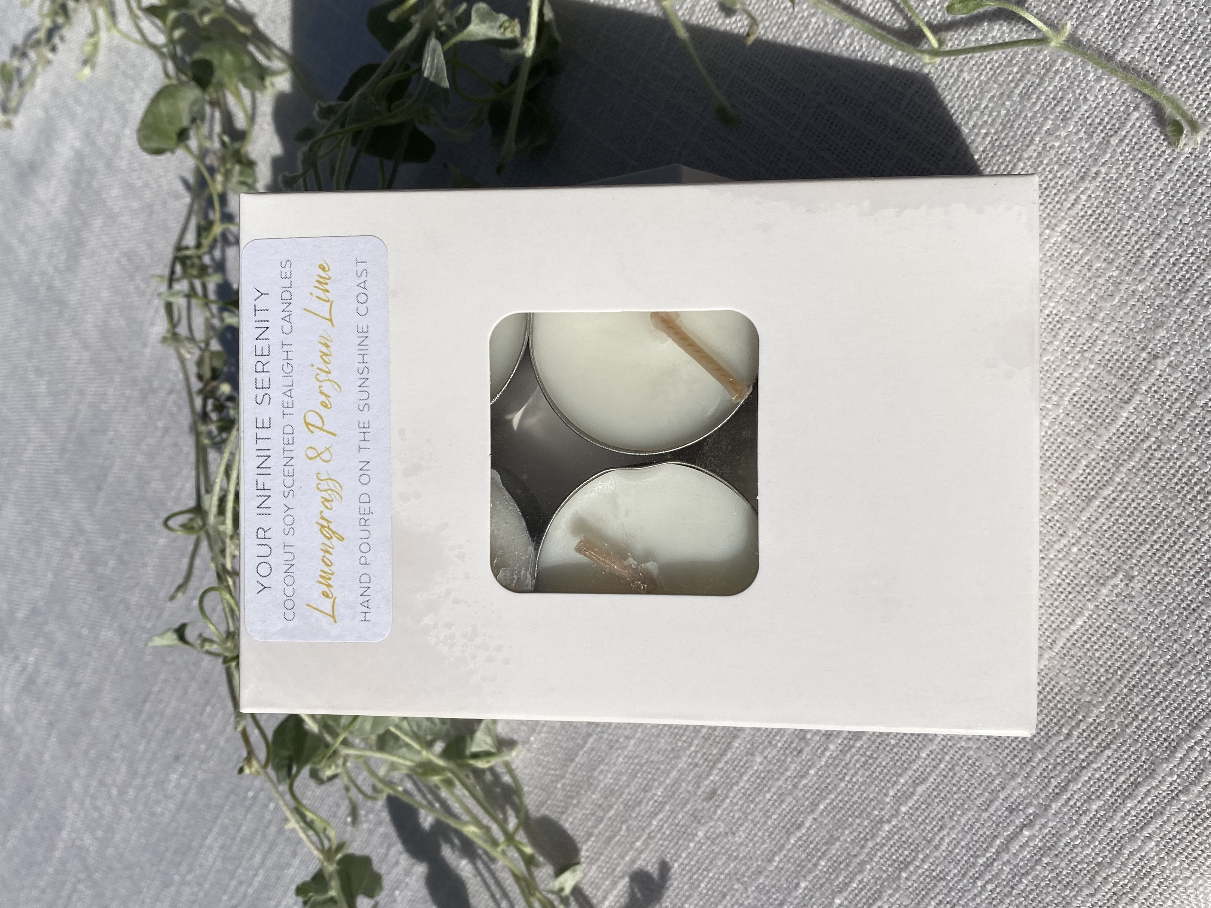 6pk Lemongrass and Persian Lime Coconut Soy Tealight Candles