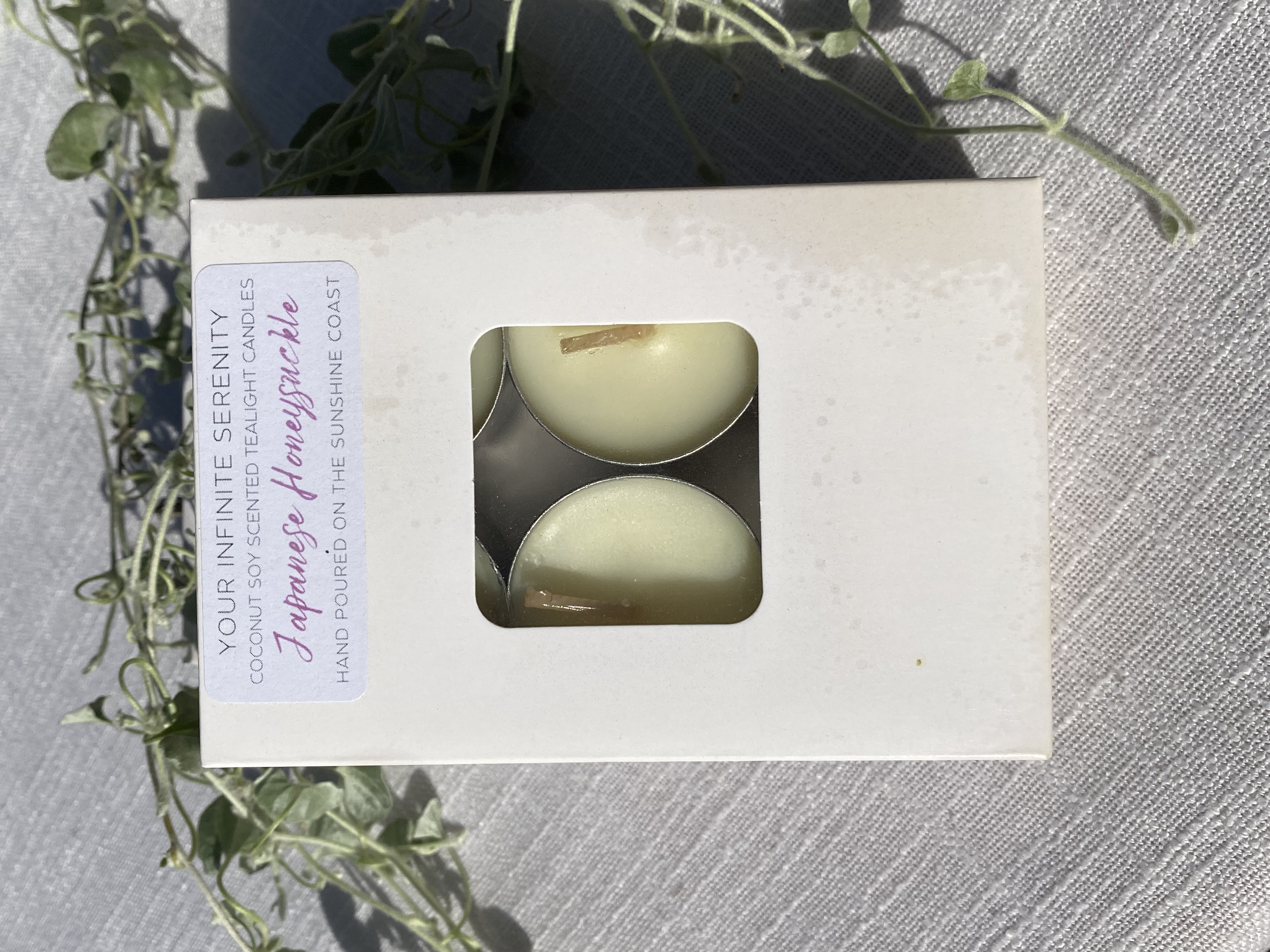 6pk Japanese Honeysuckle Coconut Soy Tealight Candles