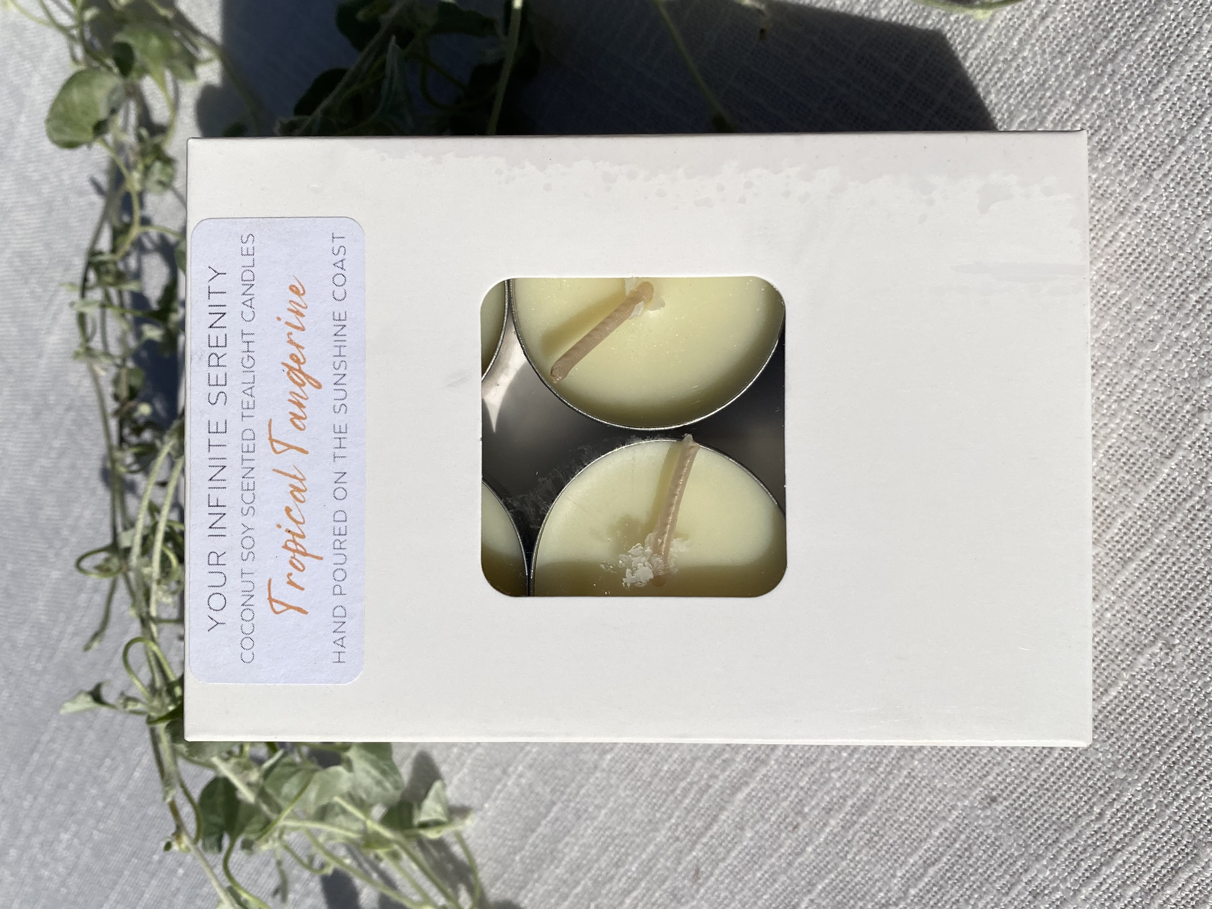 6pk Tropical Tangerine Coconut Soy Tealight Candles